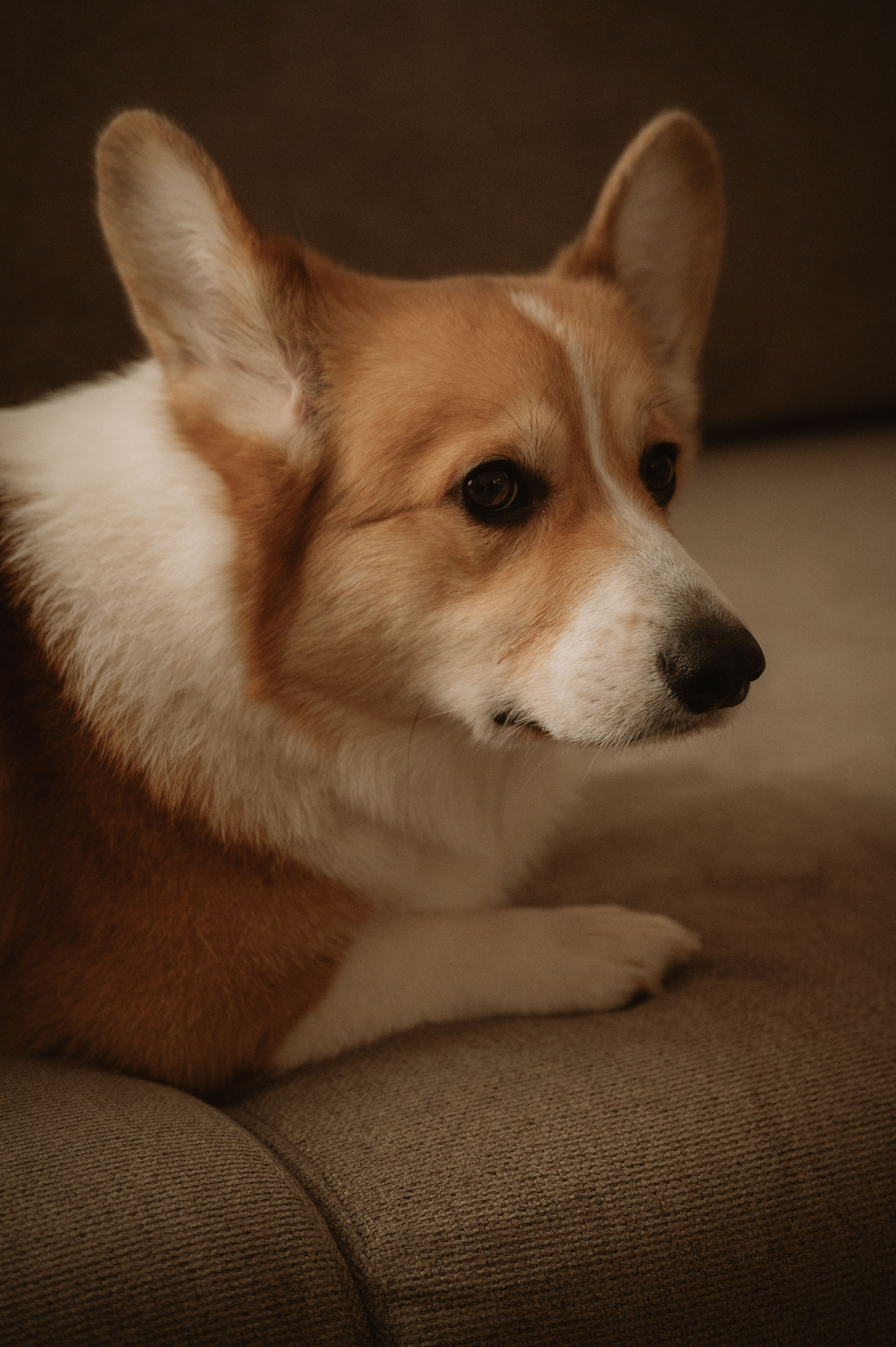 Лизавета, Никита и Мирослава. Фотограф беременности и семьи, домашние съемки, Ньюборн