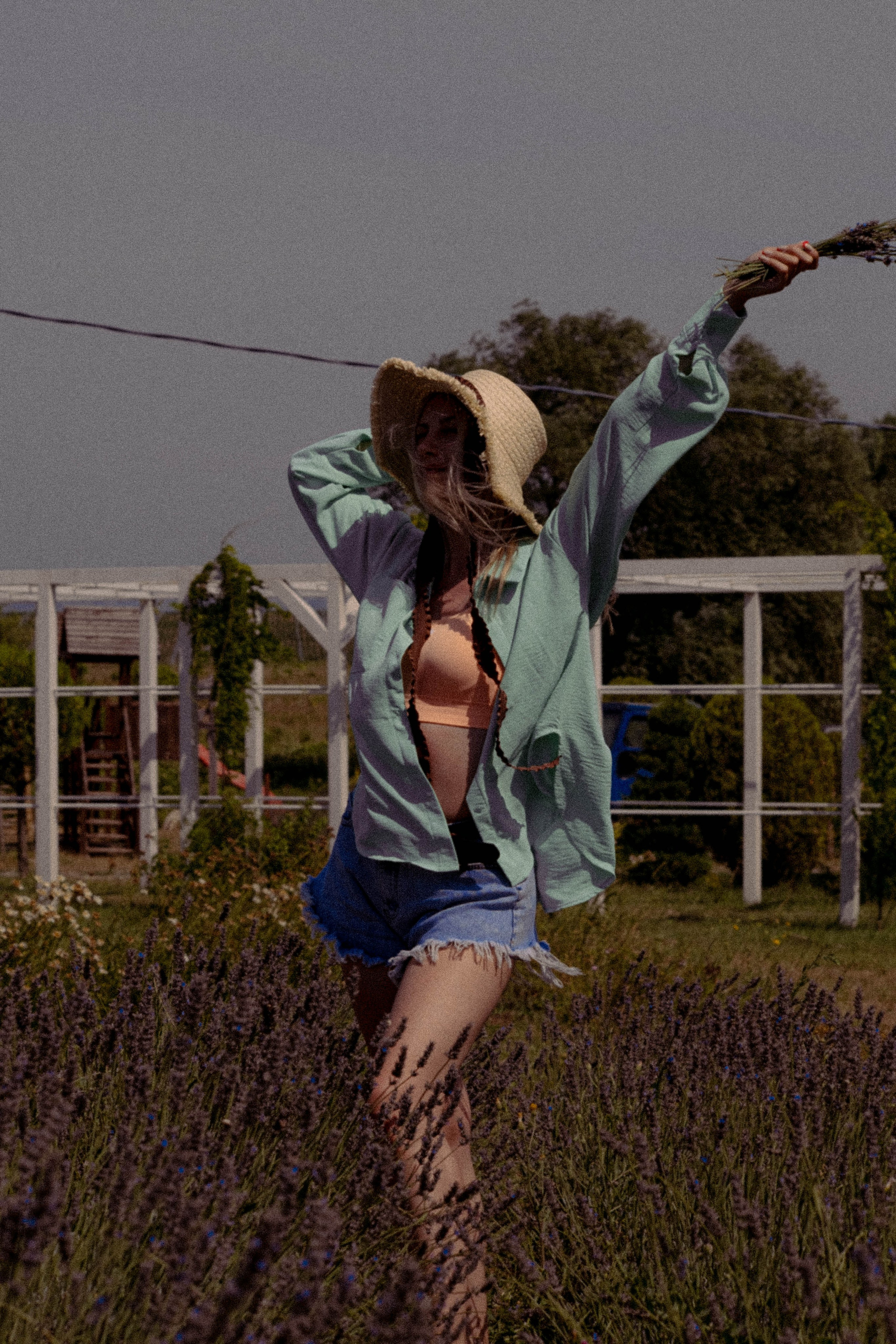 ЛАВАНВОДОВОЕ ПОЛЕ. Профессиональный фотограф, Санкт-Петербург — Виктория Богомолова