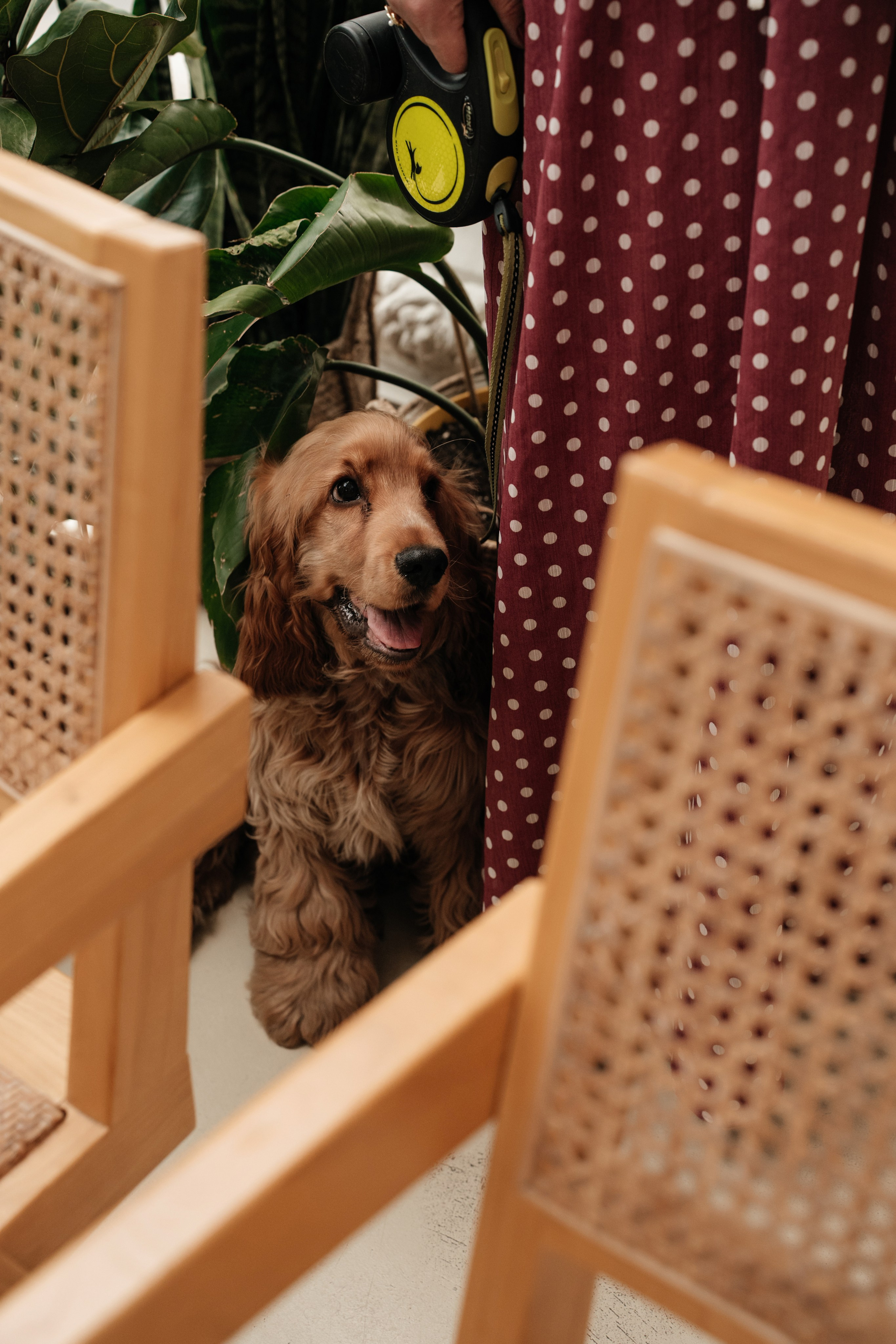 Ресторан Домик в саду, ВДНХ. Свадебный фотограф Москва Александра Аверкова