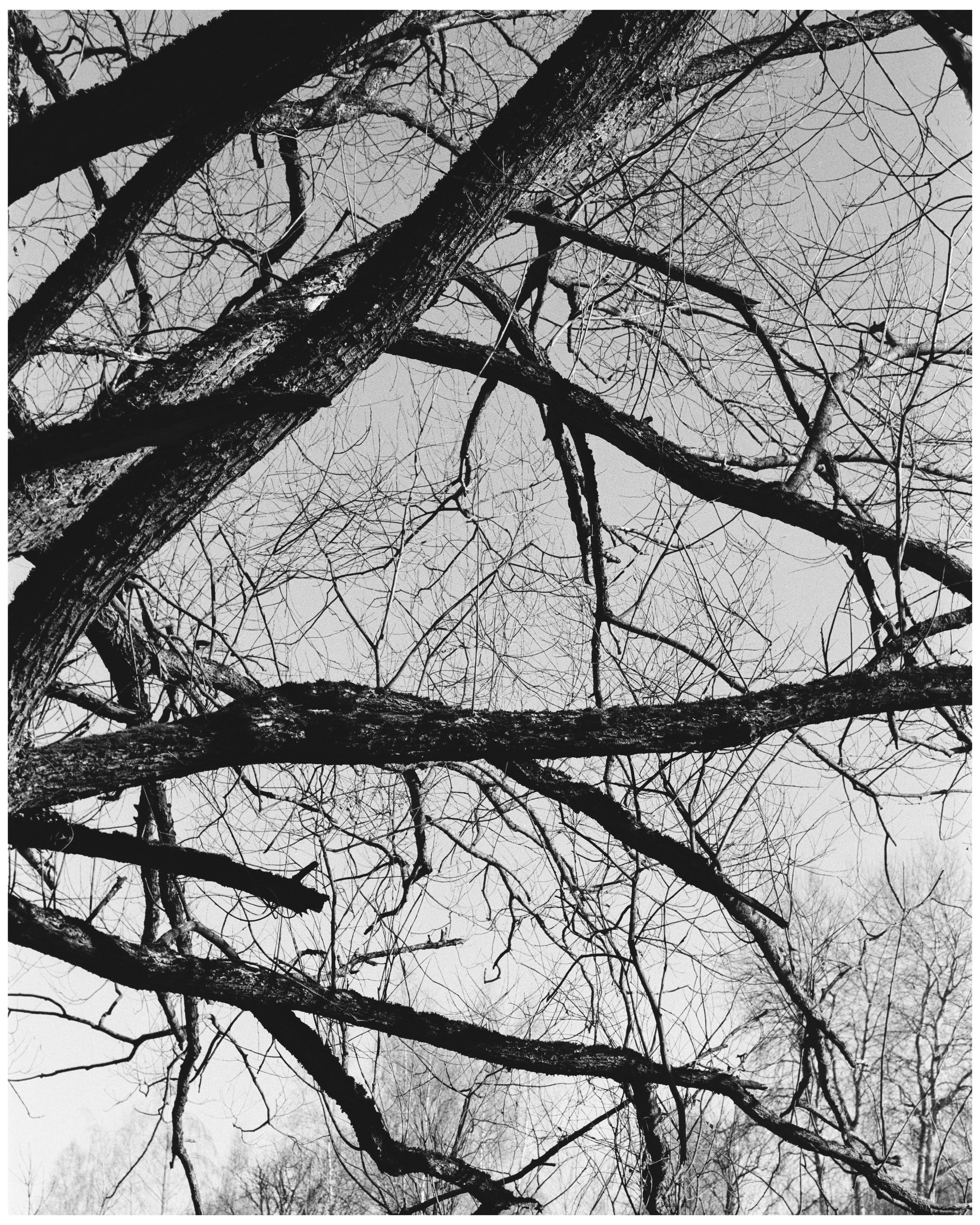 KALUGA. ANNA — PHOTOGRAPHER