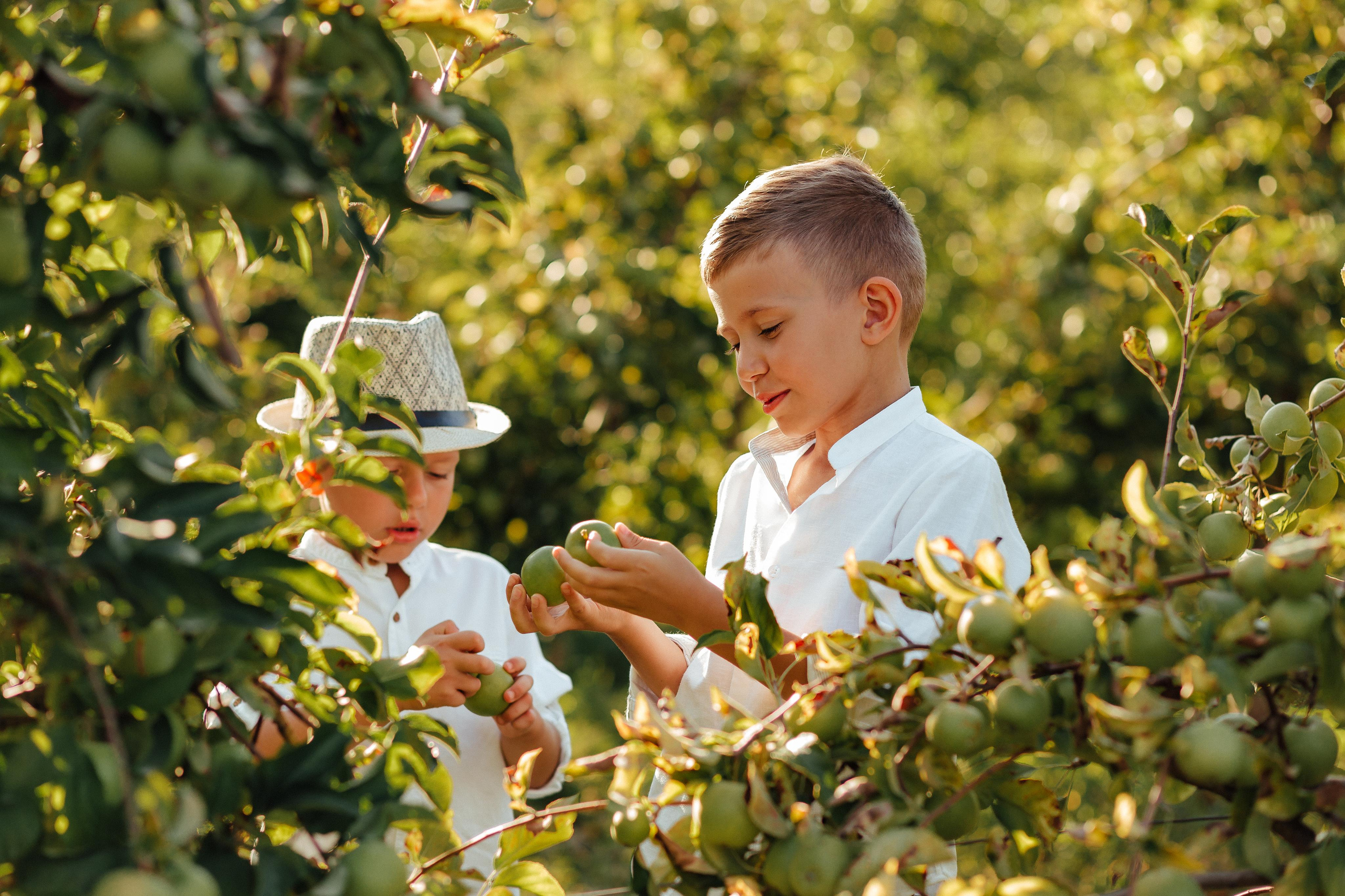 Илья и Юлия