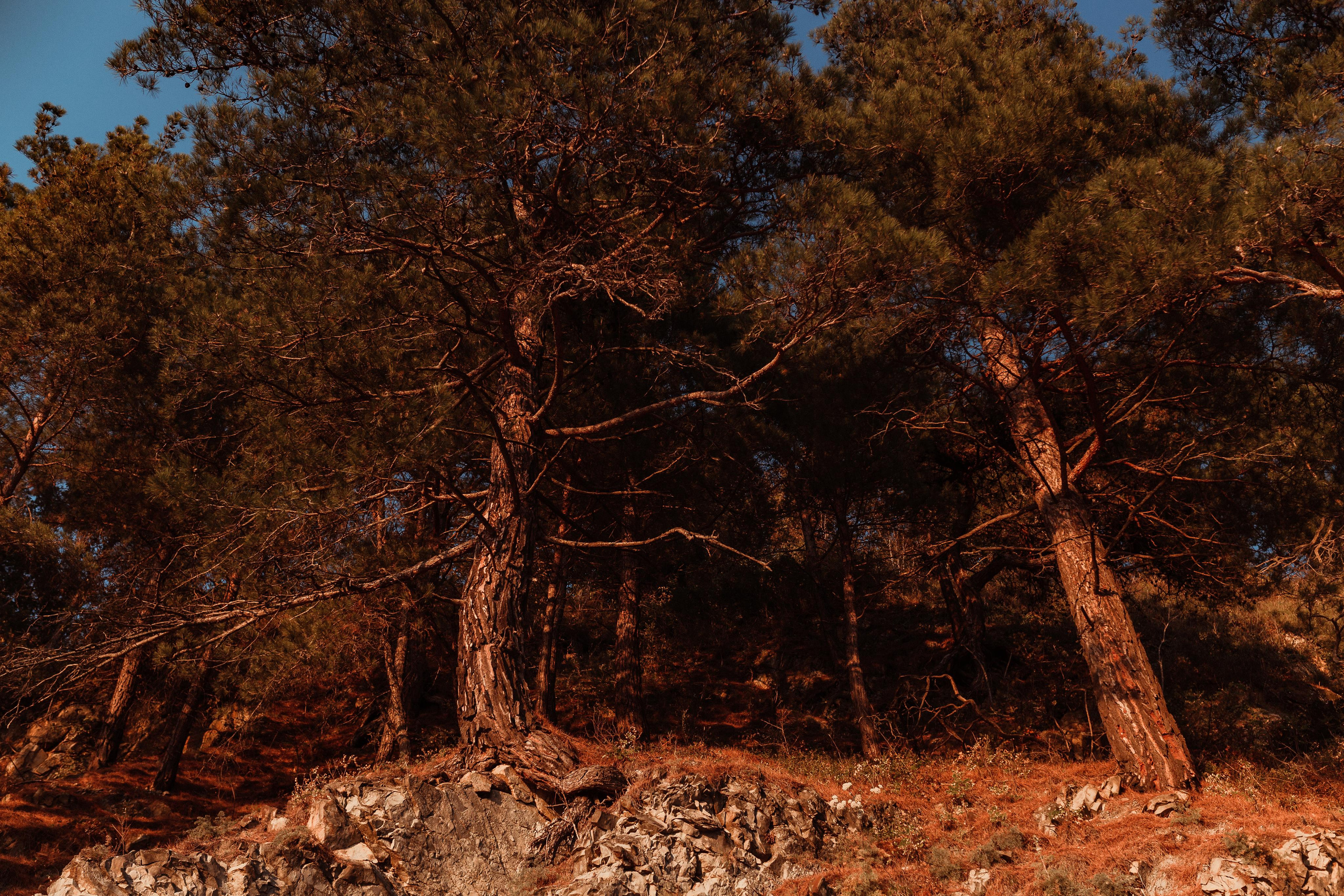 Назим и Алина