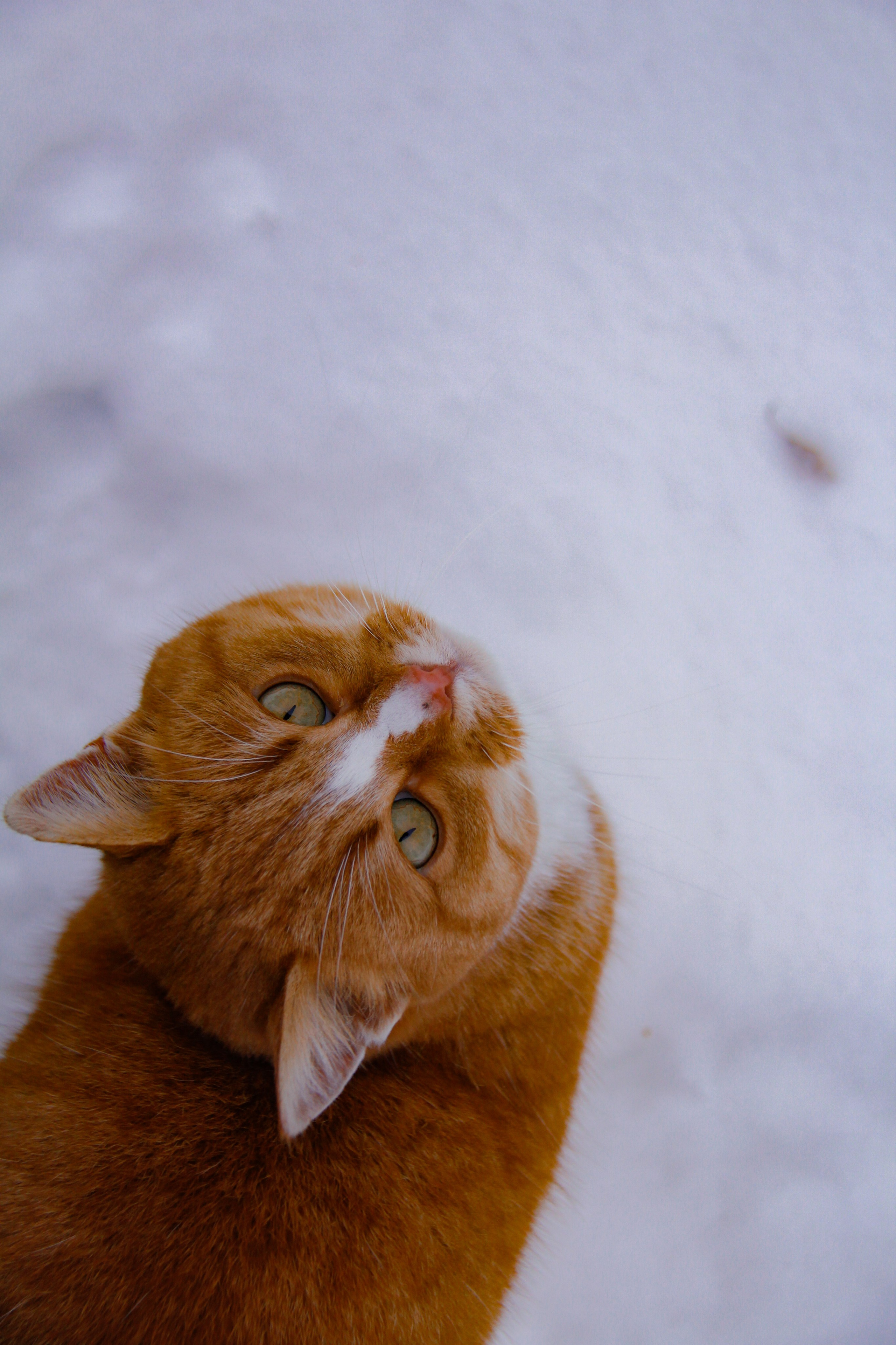 Зимние ветры дуют с озера. Натали. Janie valde |photographer & visual artist