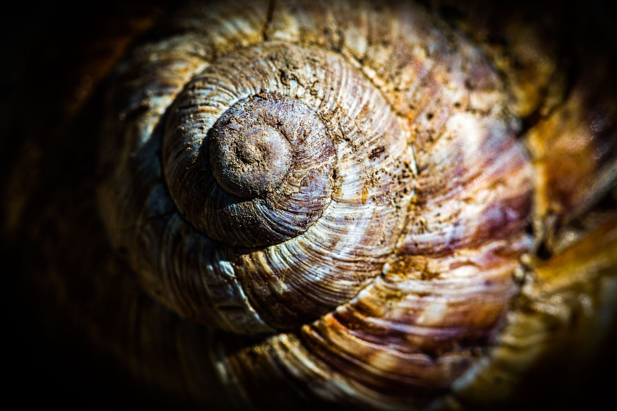 свадебный фотограф Геленджик