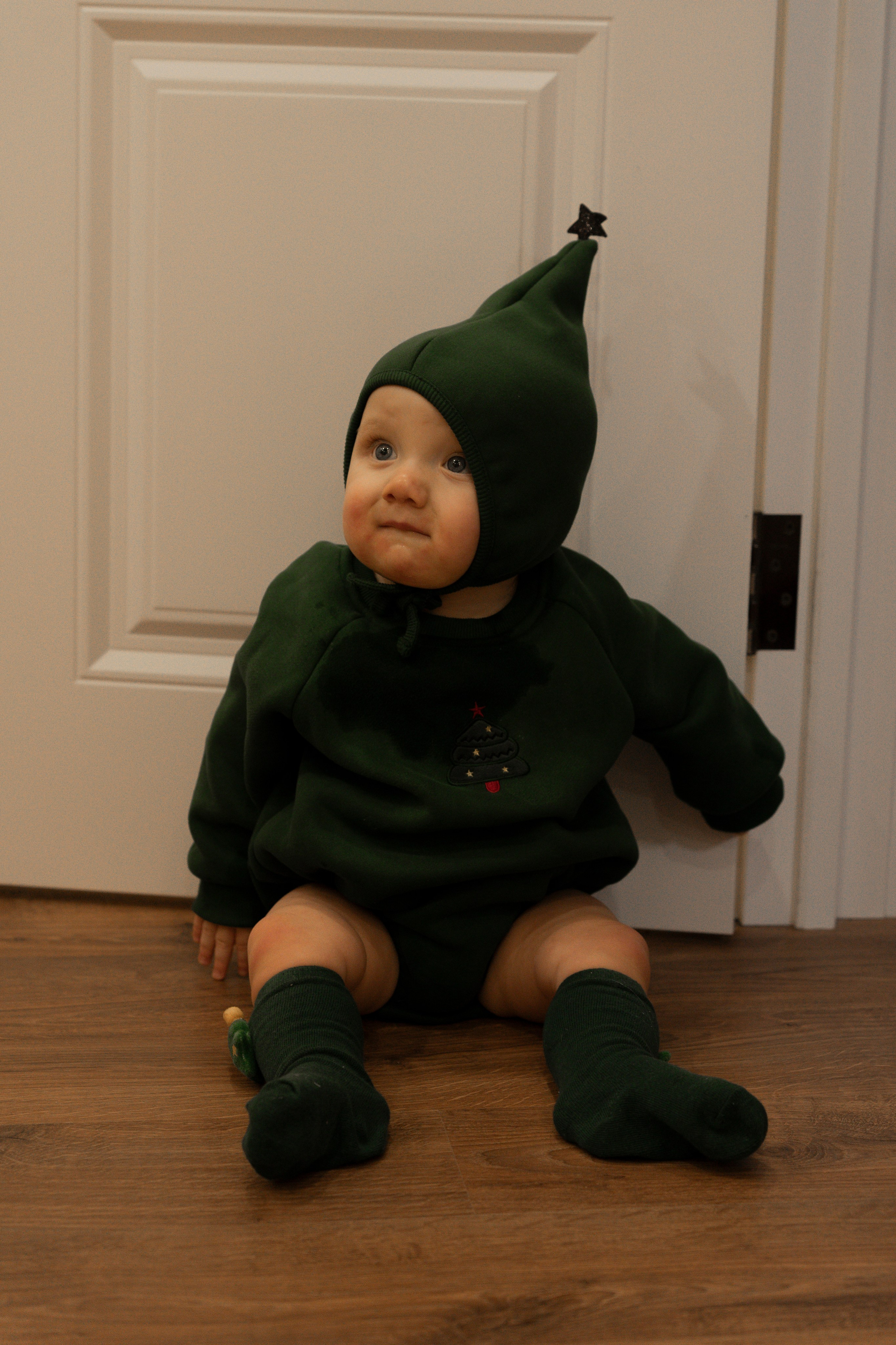 Новогодние тройняшки. Главная