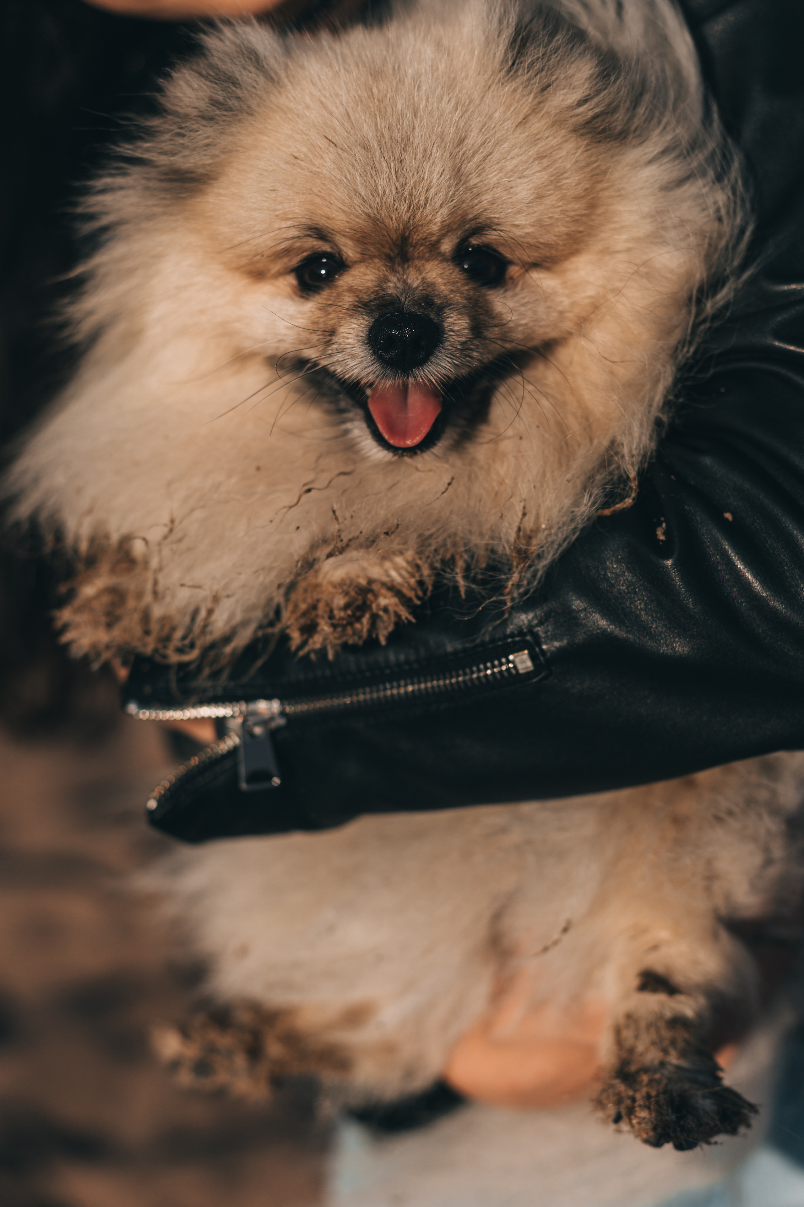 Лавстори. Юля Шаровьёва семейный и свадебный фотограф в Санкт-Петербурге