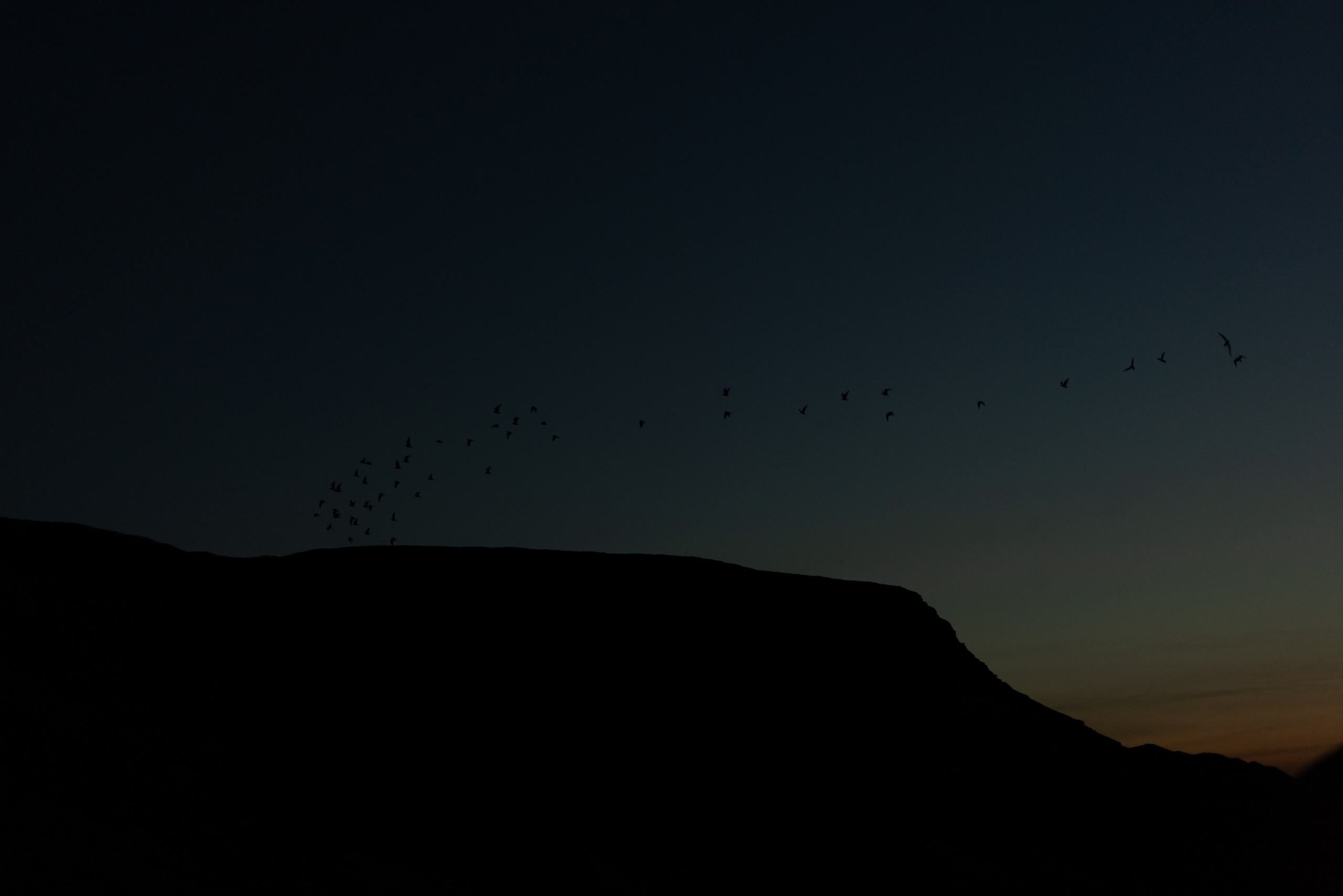 Serene night. Свадебный и репортажный фотограф Элина Козырьянова