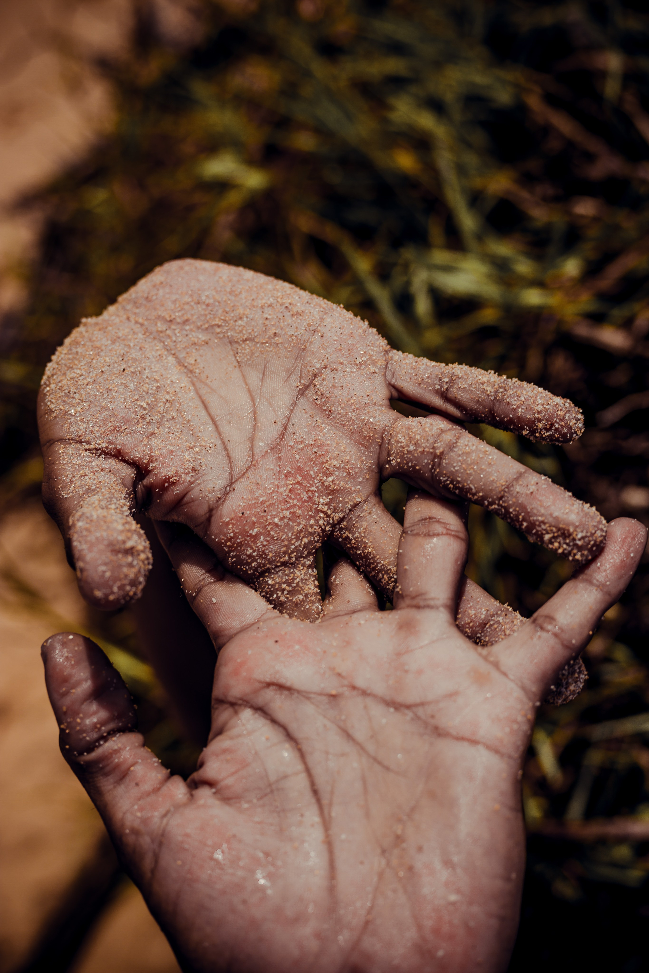 Sri Lanka. Art Photographer