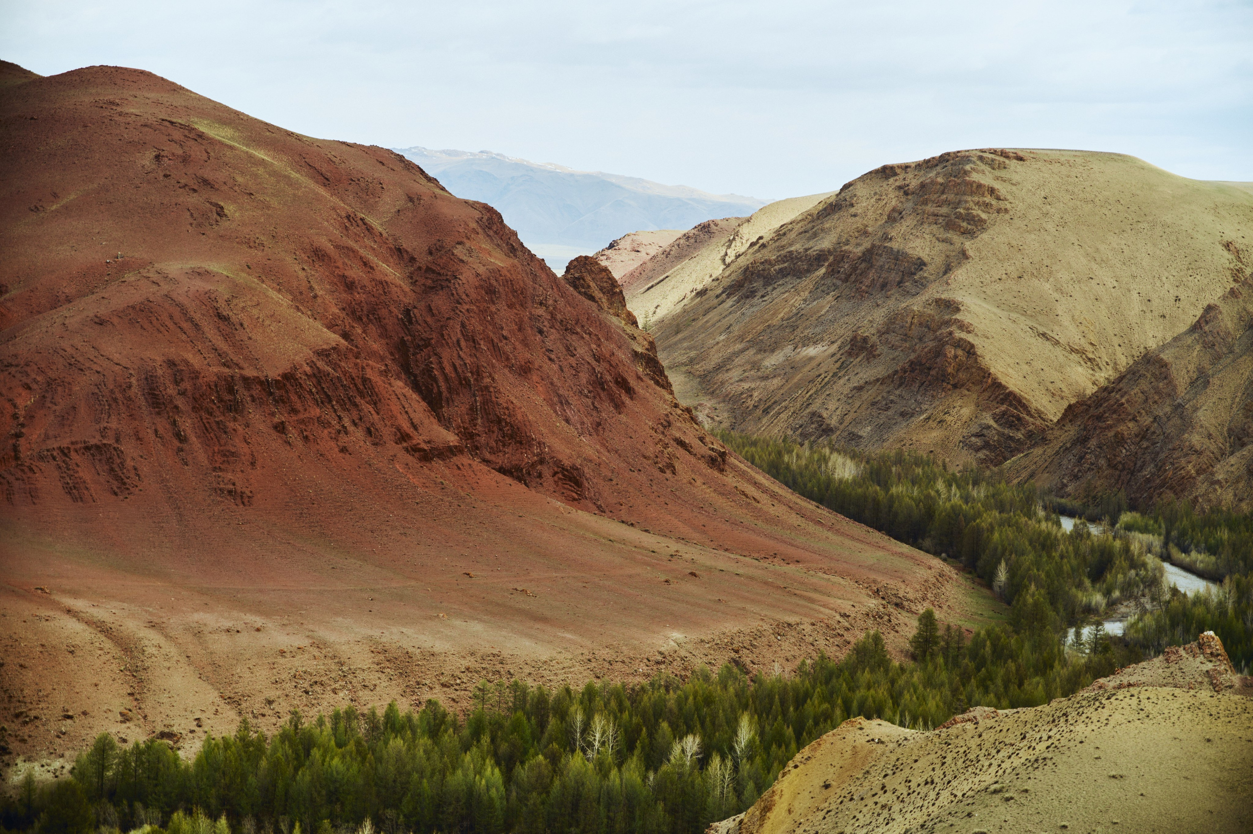 BAON x ALTAY. Фотограф Сурков Никита