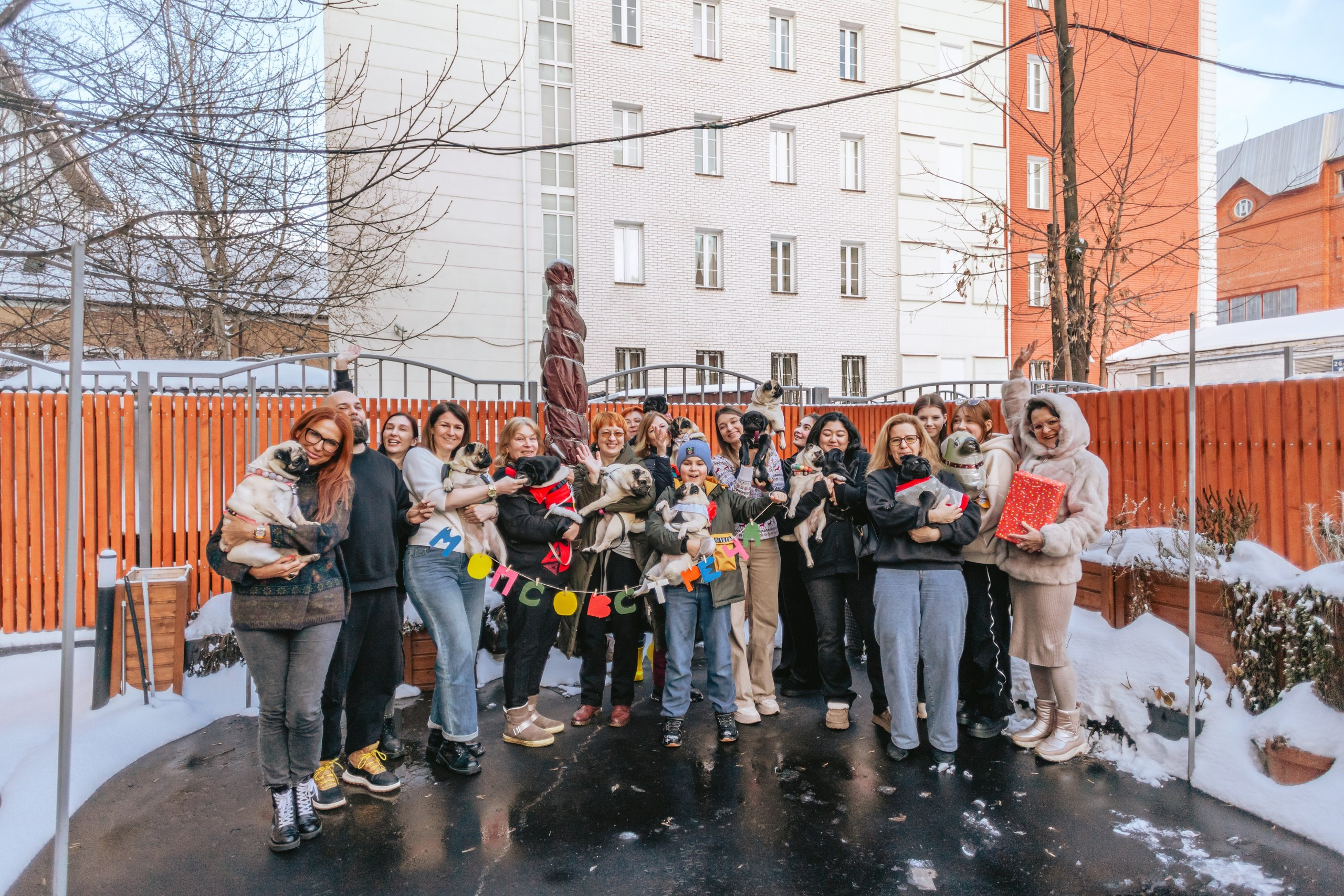 Мопсовстреча 02.12.2023. Фотограф-анималист Татьяна Степанова