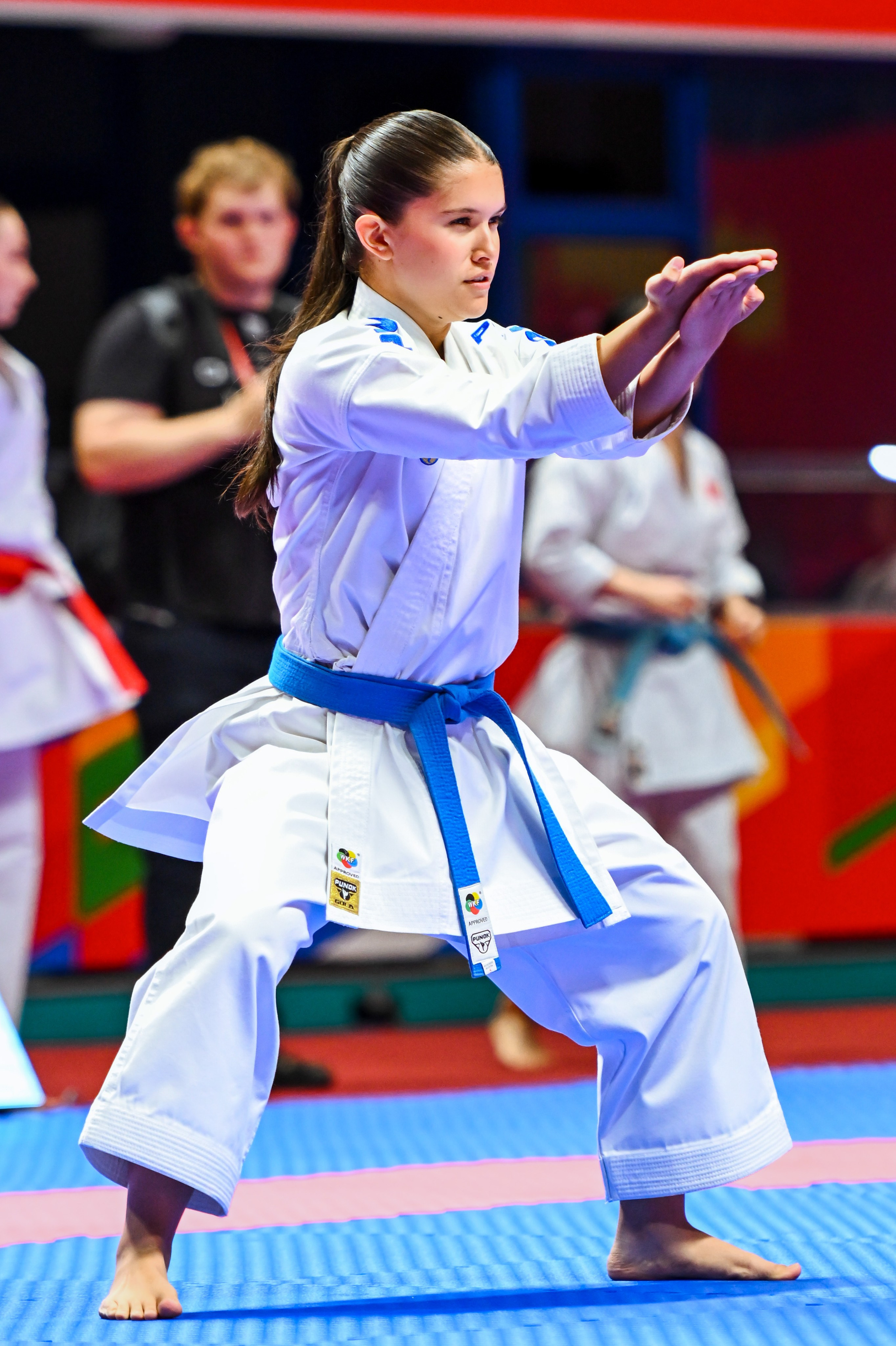 Каратэ «Спортивные игры стран БРИКС». Спортивный и репортажный фотограф в Казани Вячеслав Сатонин