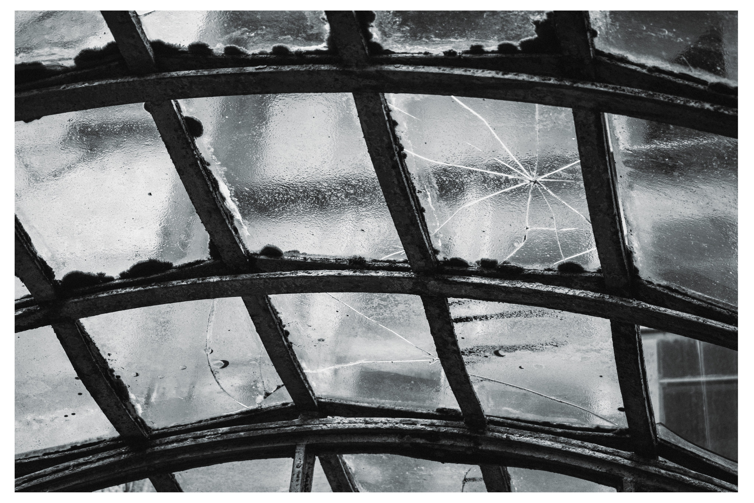 W&B HORIZONTAL. Фотограф в Севастополе Максим Черенёв