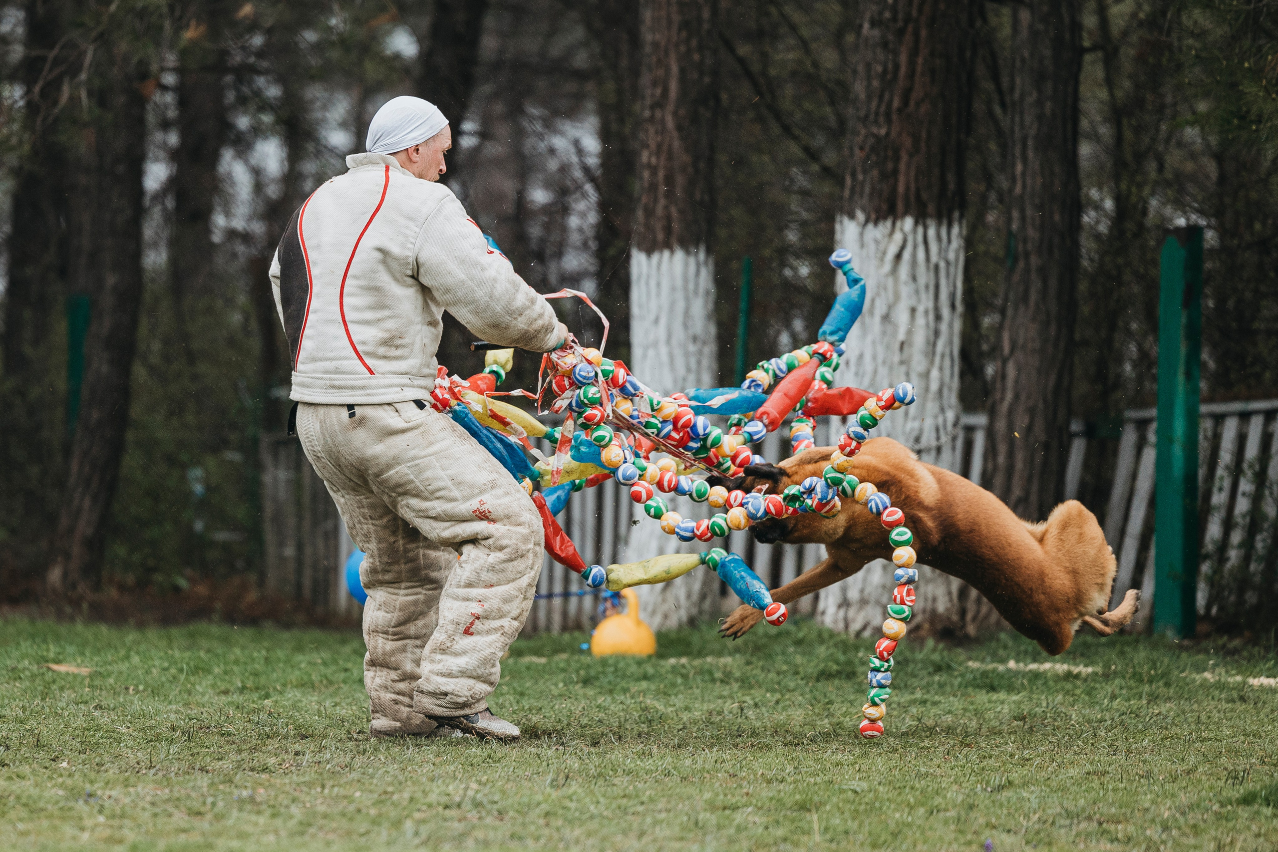 Геленджик Мондьоринг. Фотограф-анималист Анна Маринич