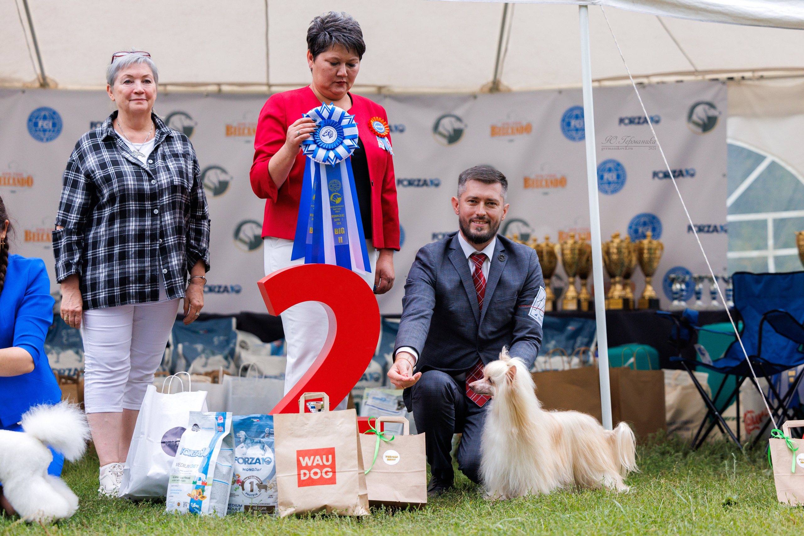 Астана 2хCACIB 17-18.08.2024. Фотограф-анималист Юлия Германика