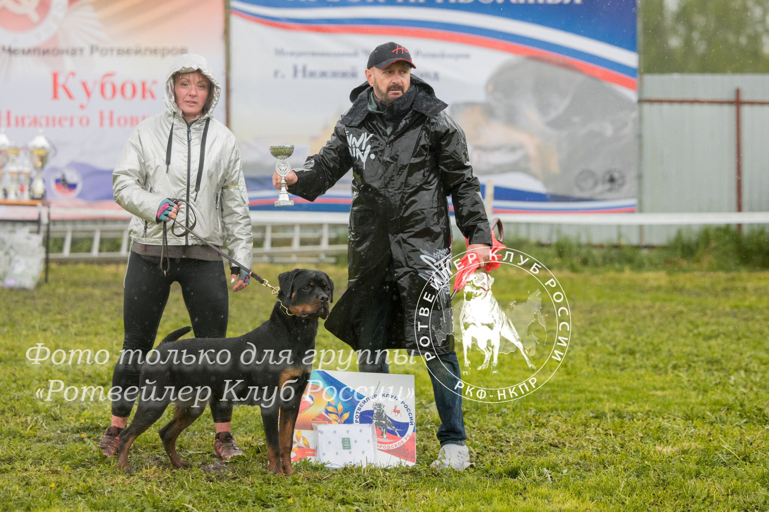 Нижний Новгород 2хмоно ротвейлеров 10-11.05.2025. Фотограф-анималист Юлия Германика