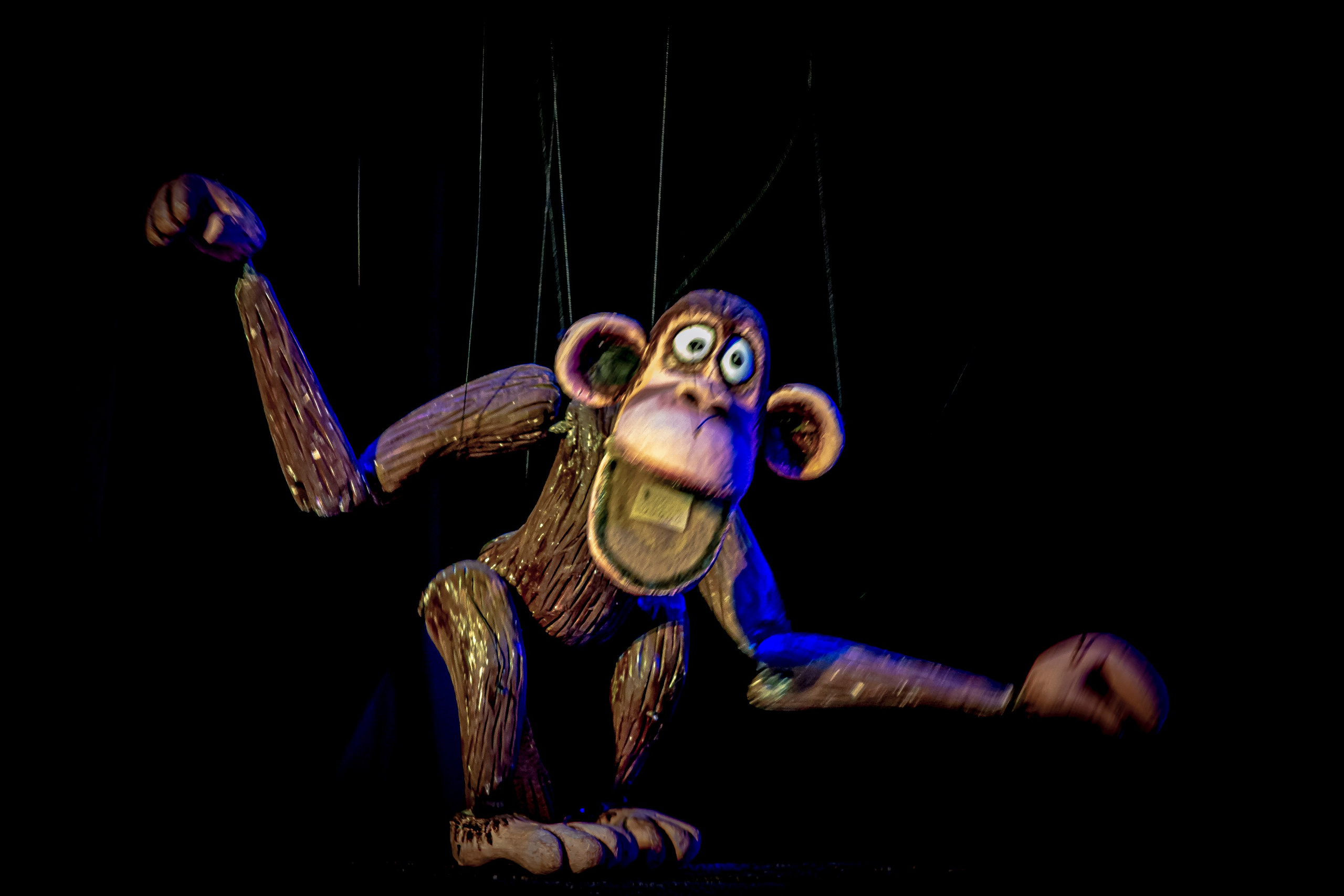 Жирафа и носорог спектакль театра Саквояж. Фотограф в Сочи Юрий Шептаев