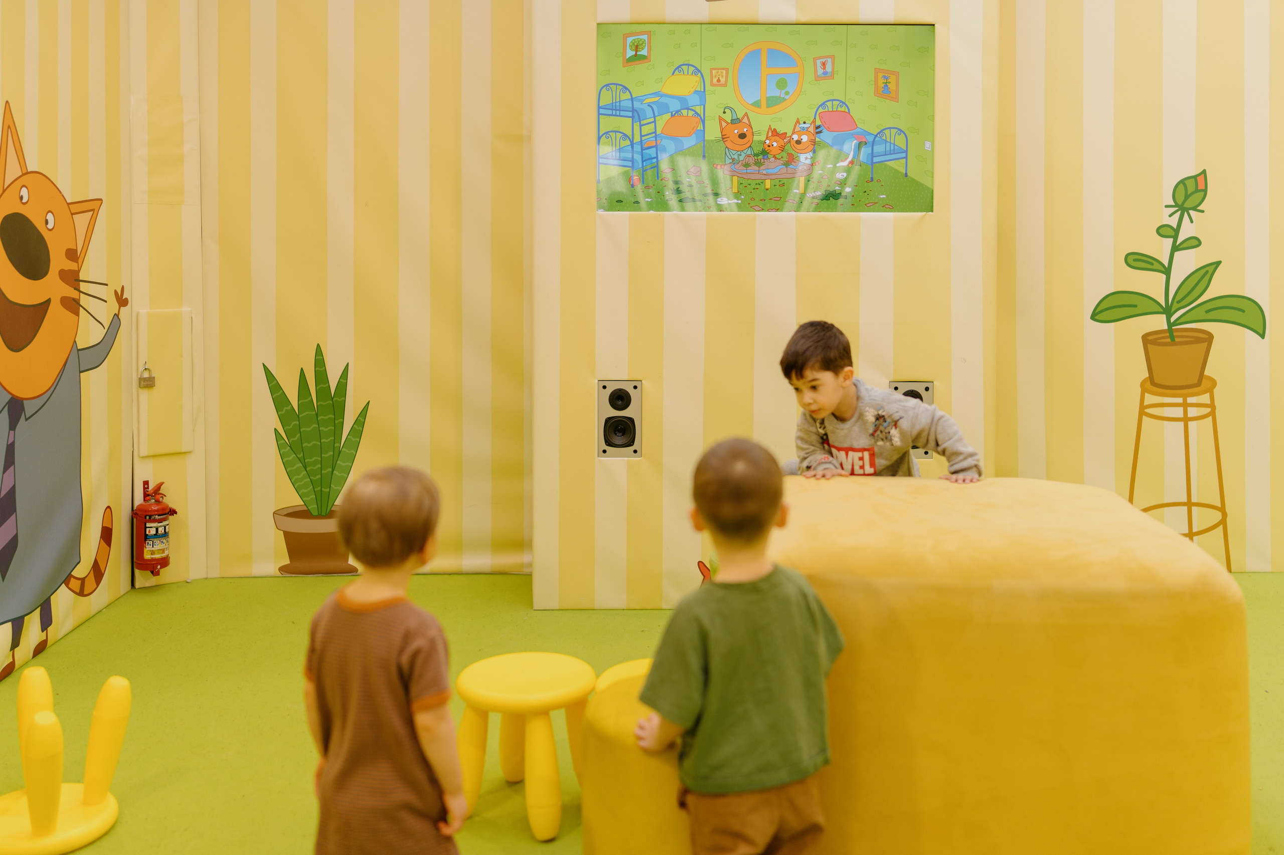 Три кота на «Каникулы с Комсомолкой» 04.05.24. Свадебный и семейный фотограф в Санкт-Петербурге Дмитрий Панин