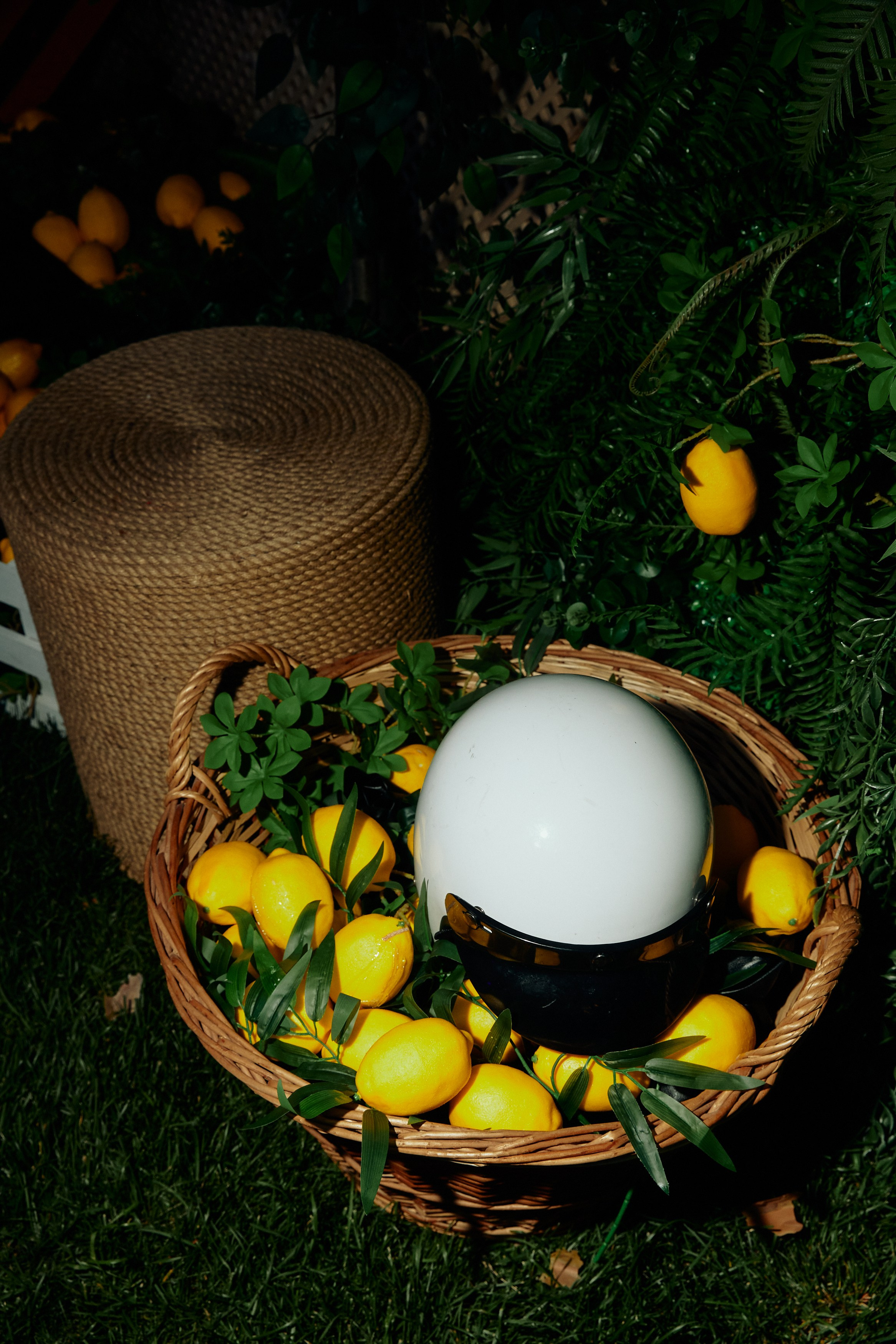 BG. Дмитрий Мазуркевич: Профессиональный Репортажный Фотограф