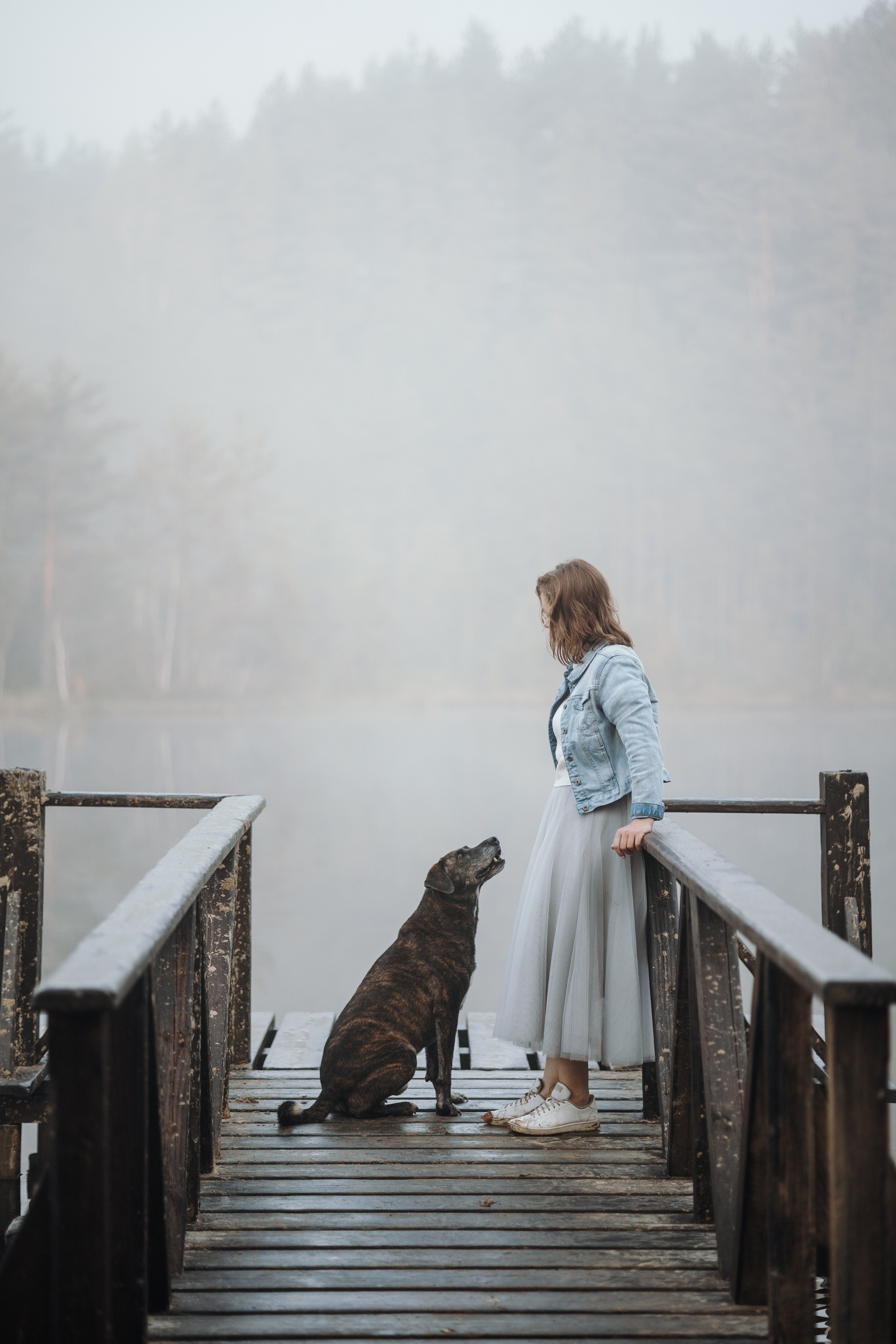 Любовь и ее хвостики. Фотограф — Анималист | Санкт-Петербург