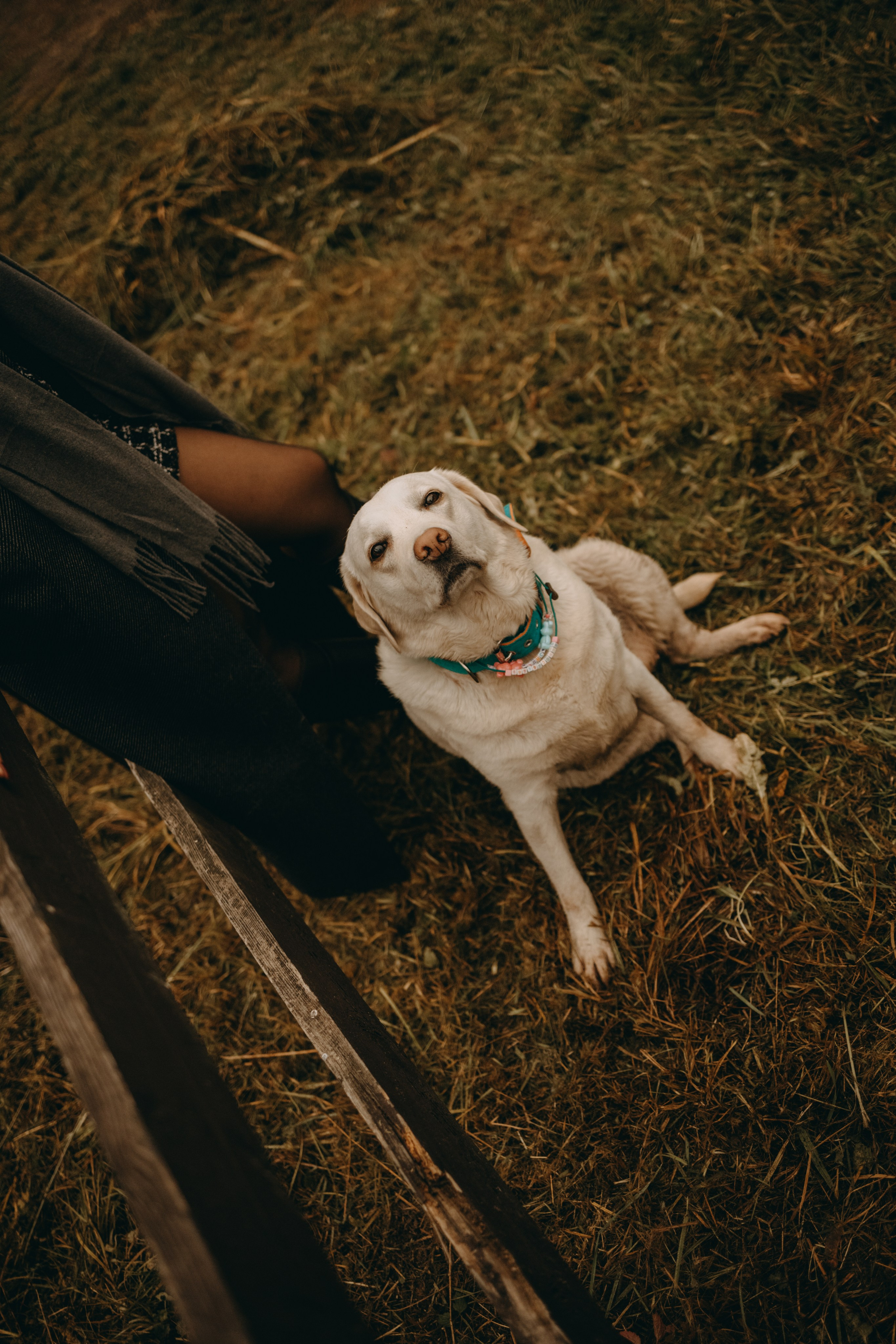 Женя и ее девочки. Фотограф — Анималист | Санкт-Петербург