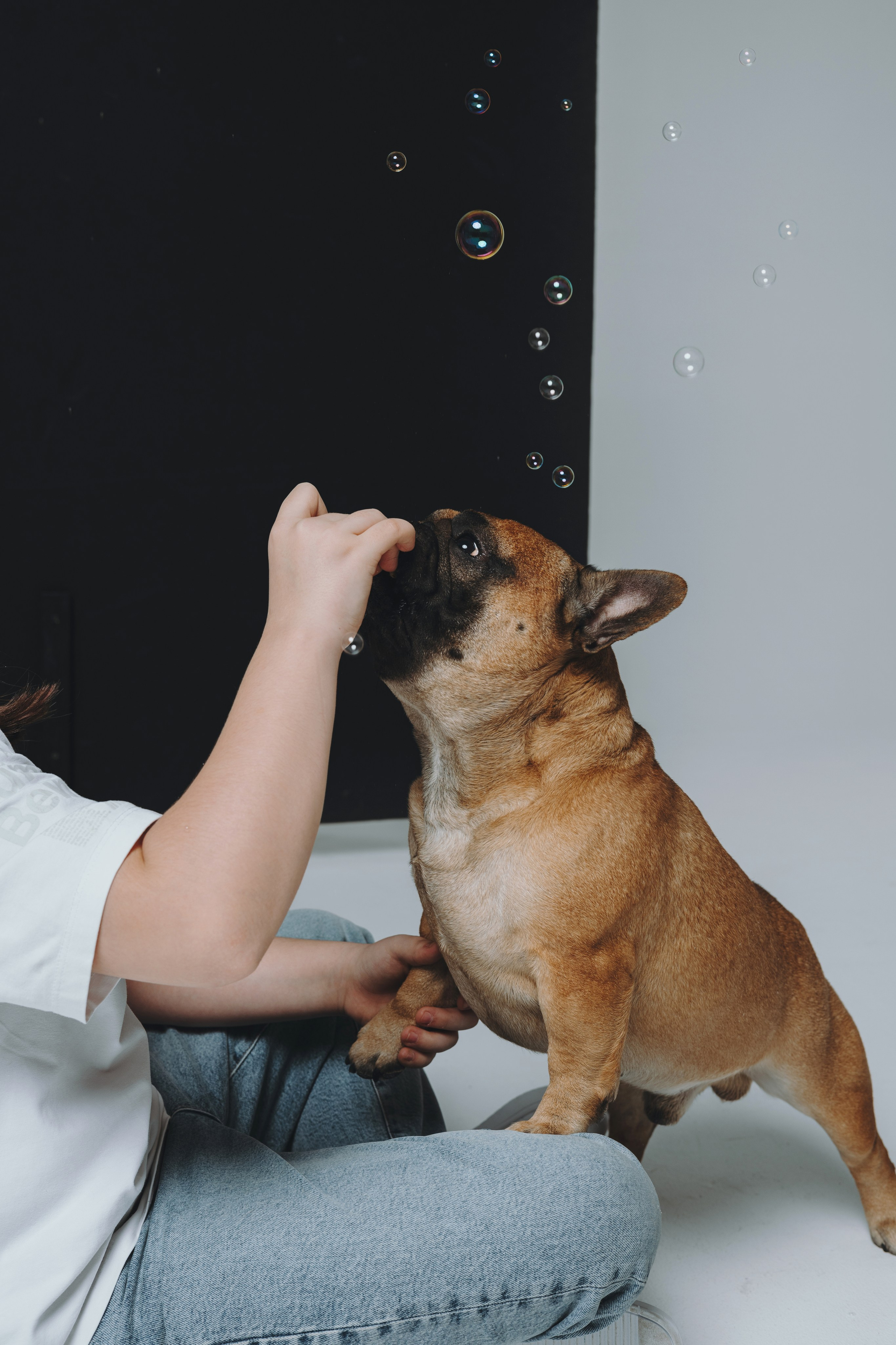 Анна, Юля, грогу и Винс. Фотограф — анималист Владивосток, Алина