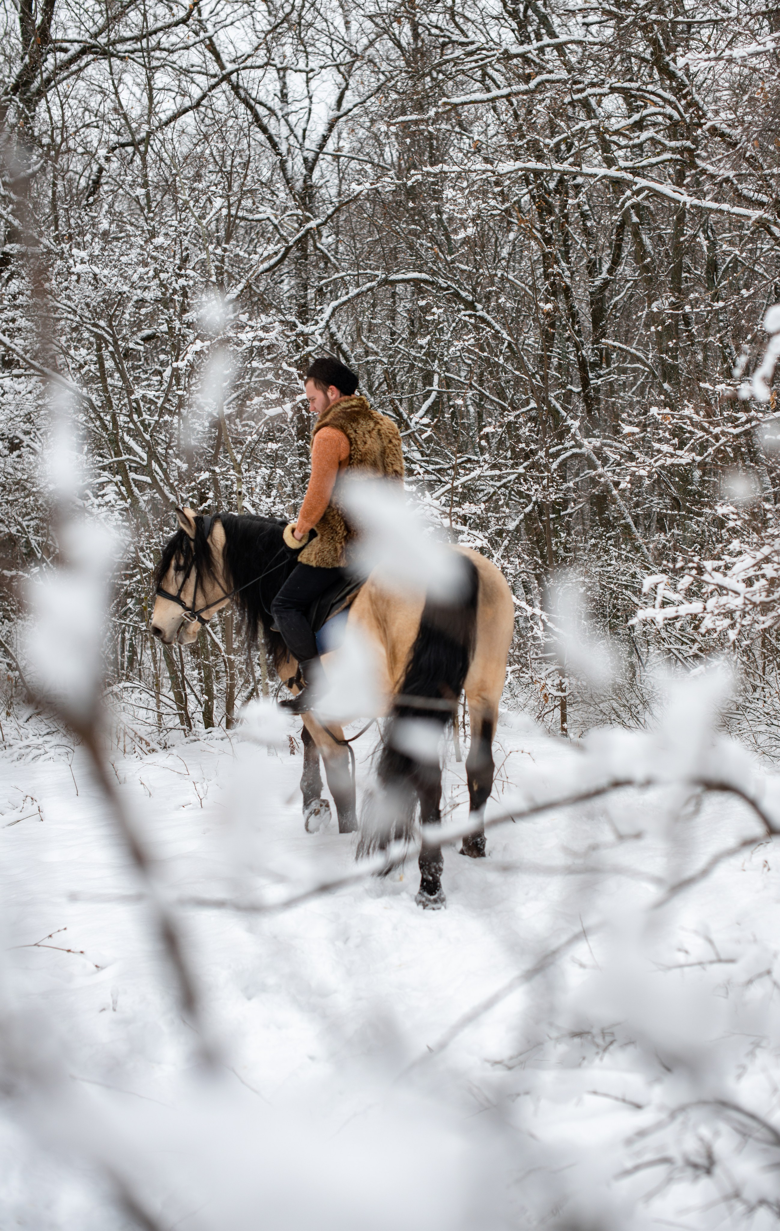 Геннадий и Тэзей. Конный фотограф в Саратове Юлия Иванова