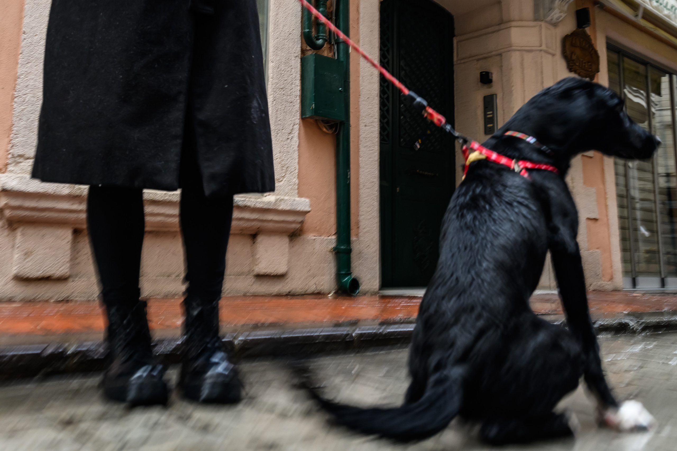 Dimitri Bakhtadze, street photos. Dimitri Bakhtadze photographer