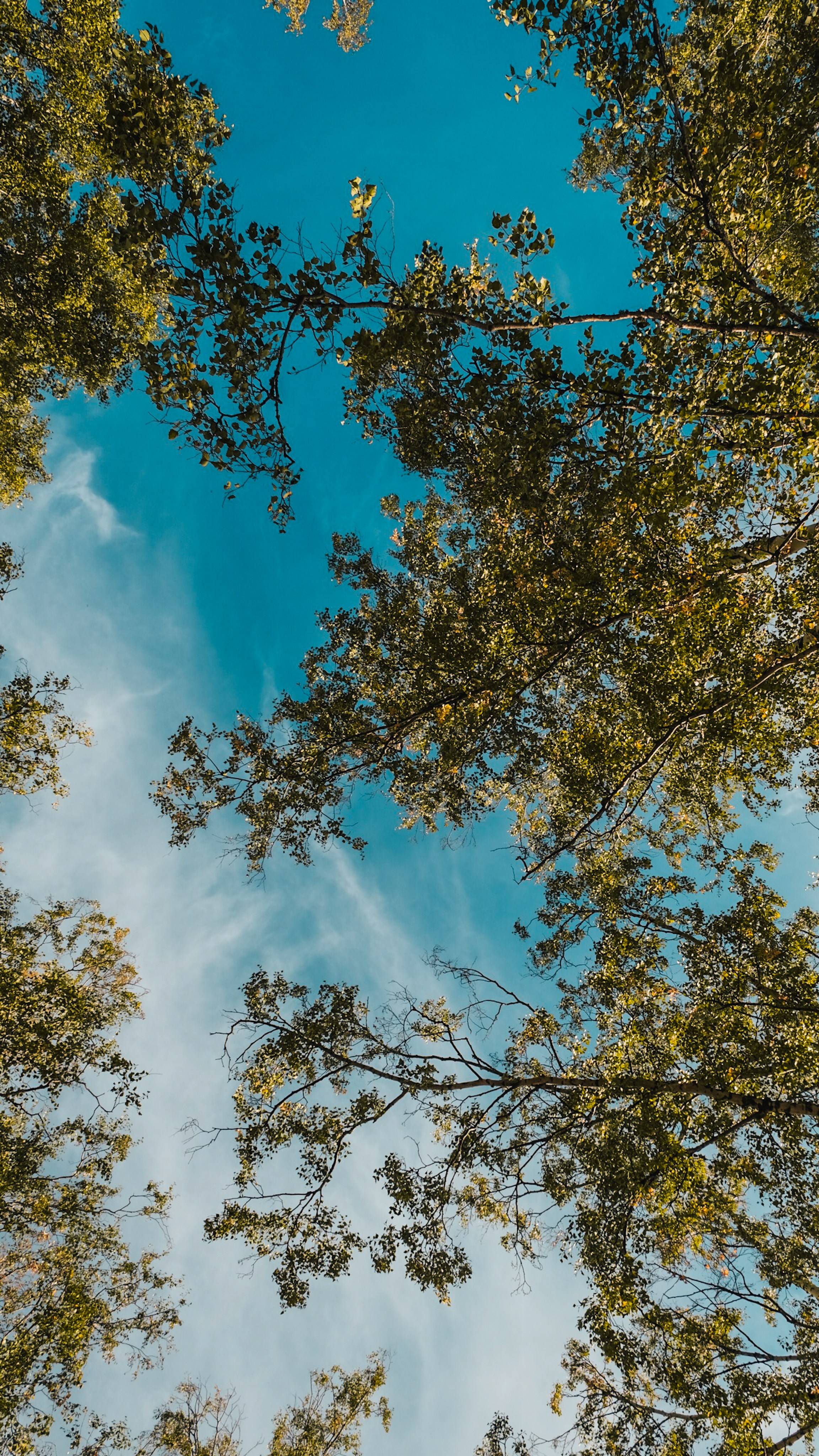 Altai 21'. Фотограф в Тюмени Кирилл Марфин