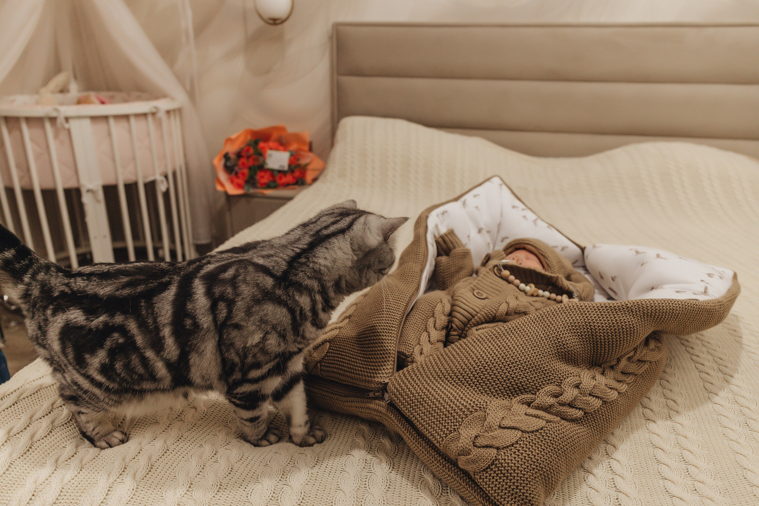 Выписка Варвары. Свадебный и семейный фотограф Пушкин Царское Село СПБ Питер Санкт-Петербург и Рязань Ольга Козлова