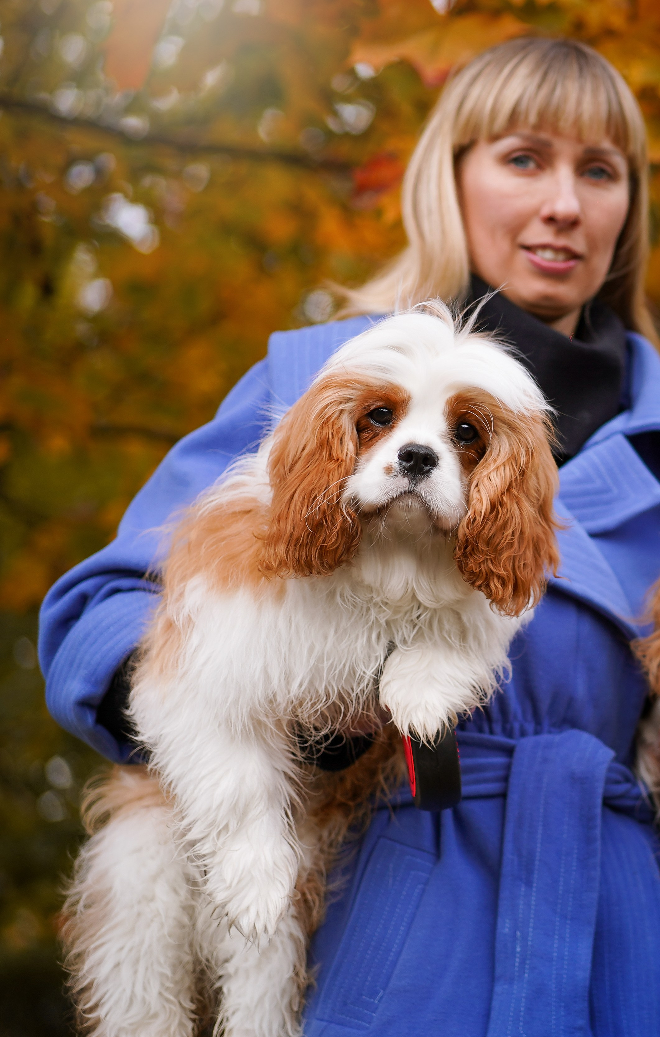 Катя Валера Саша и кавалерчики. Фотограф-анималист в Санкт-Петербурге Яна Мартынова