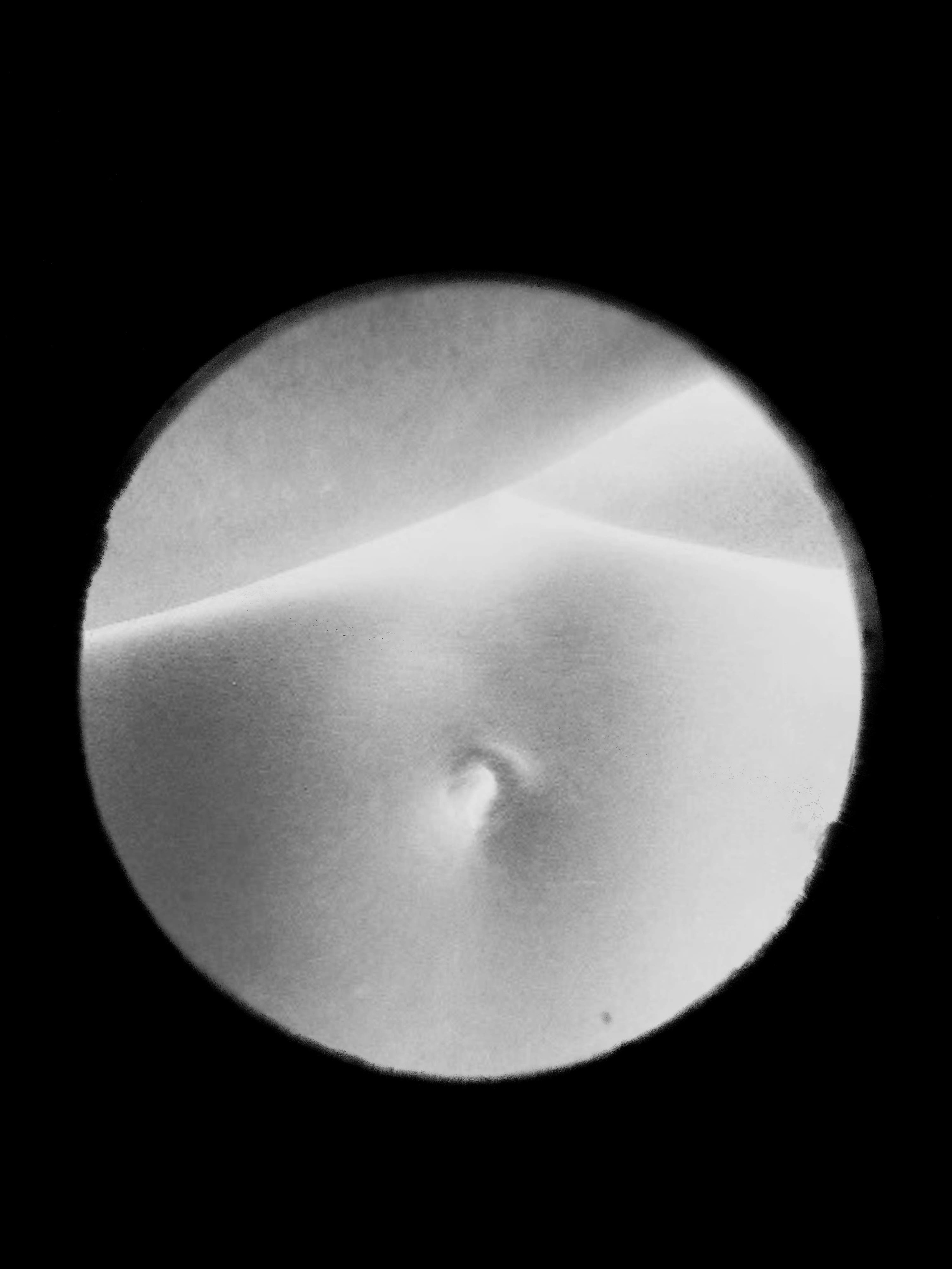 Нина. Катерина Малама арт-фотограф