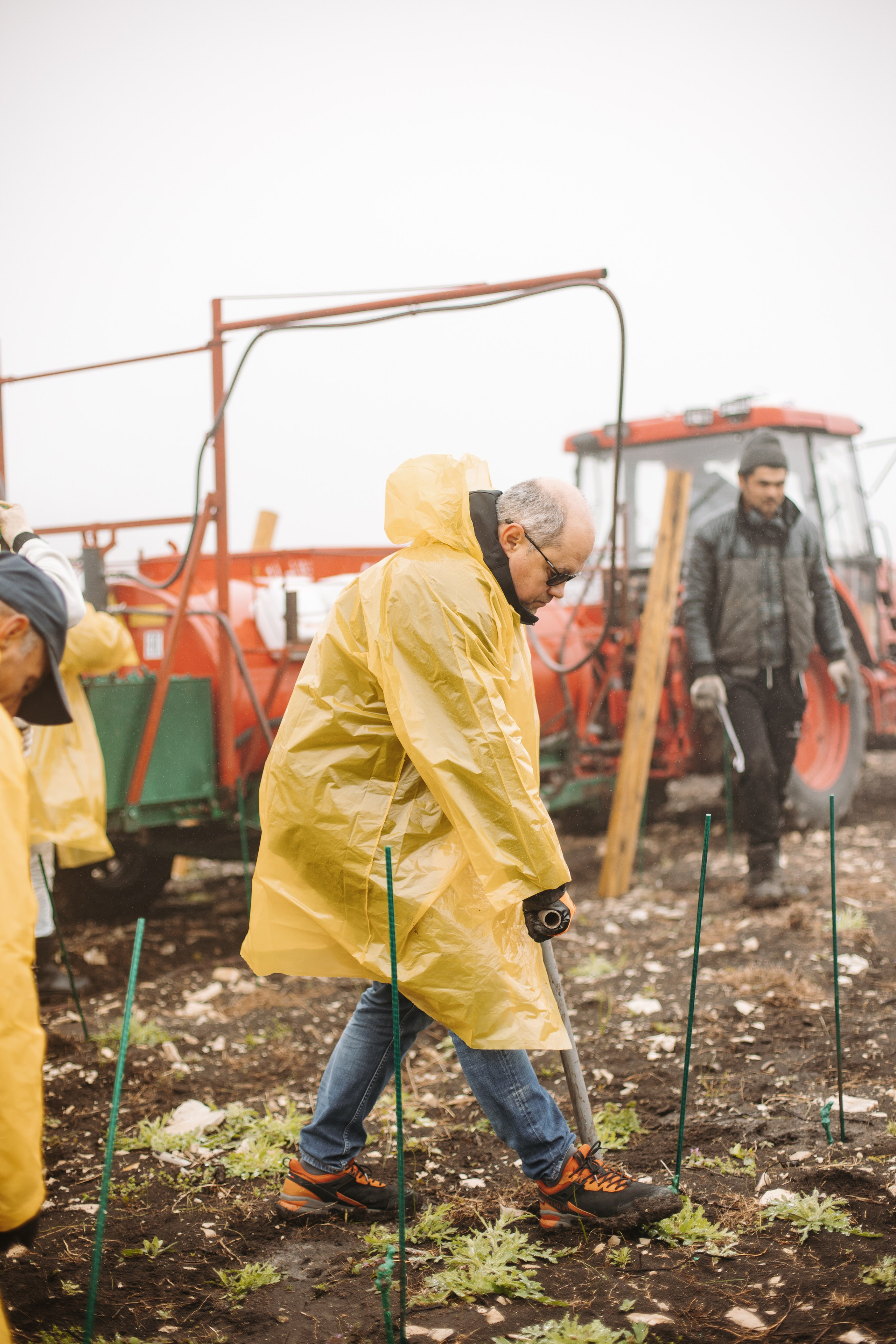 Lion Wine. Фотограф на Юге России