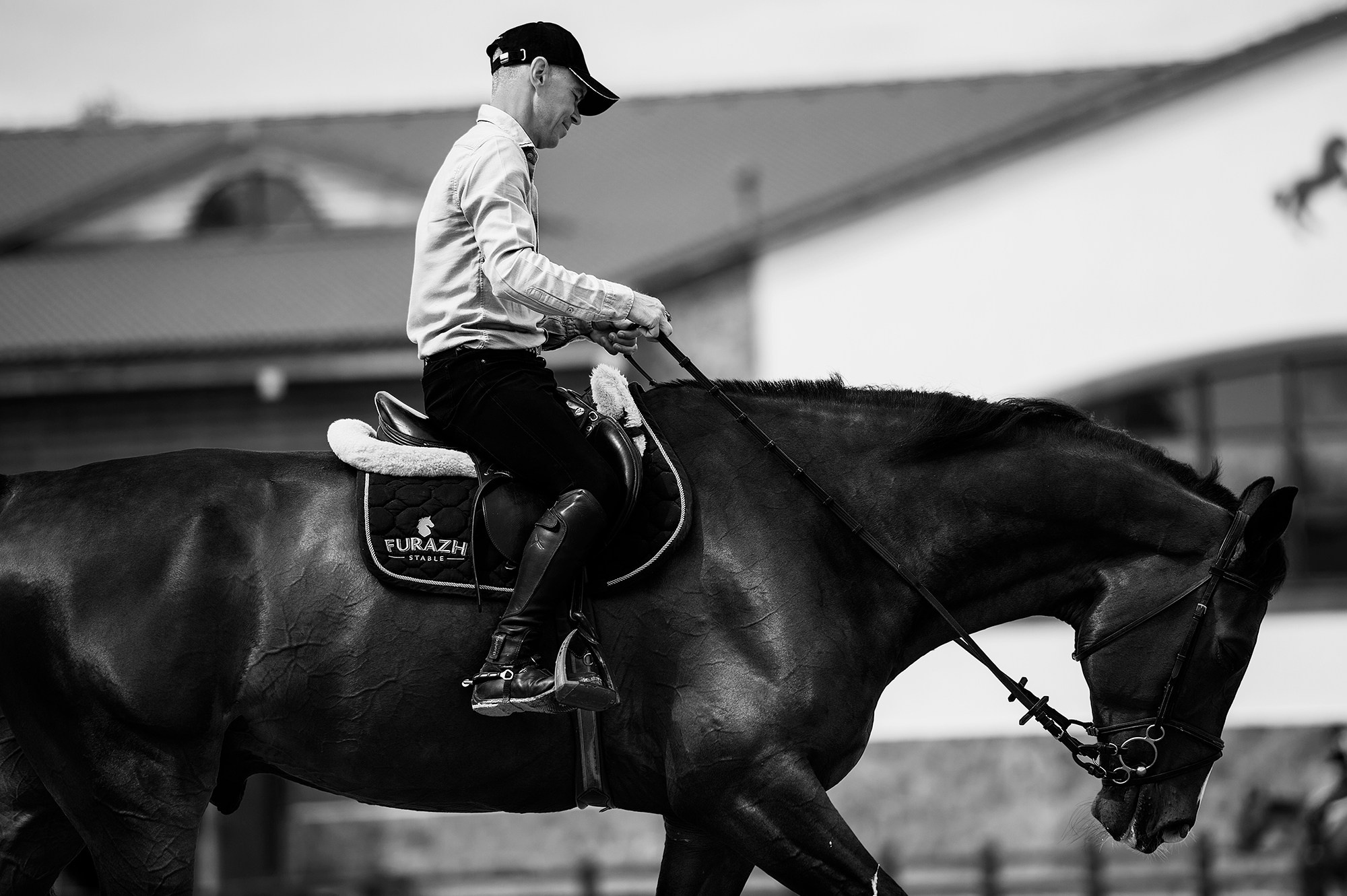 Тренировки. Конный фотограф Alesya Safe