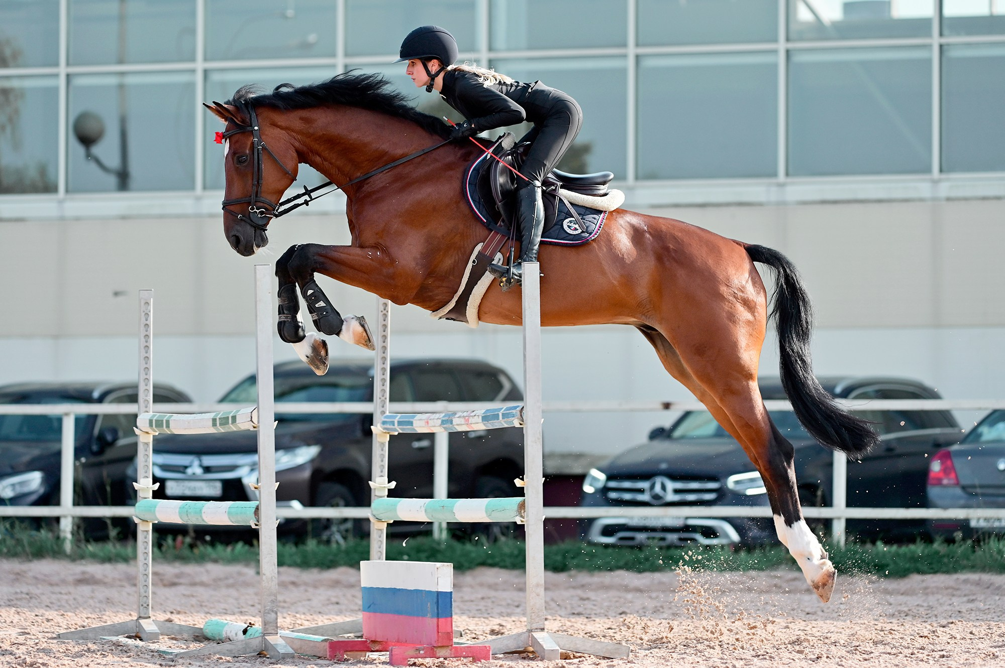 Тренировки. Конный фотограф Alesya Safe