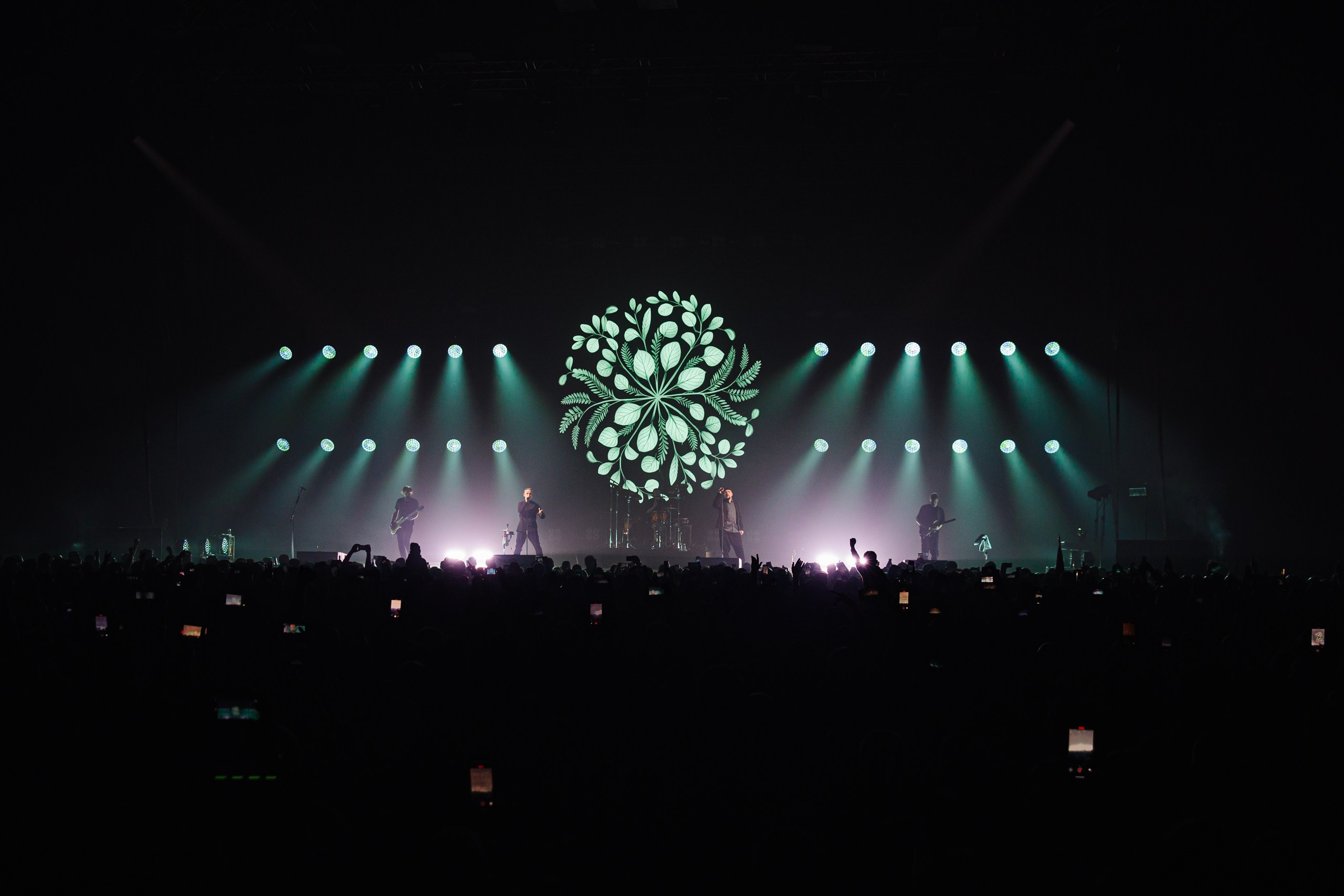 25/17 / САНКТ-ПЕТЕРБУРГ / 2024. OOPS