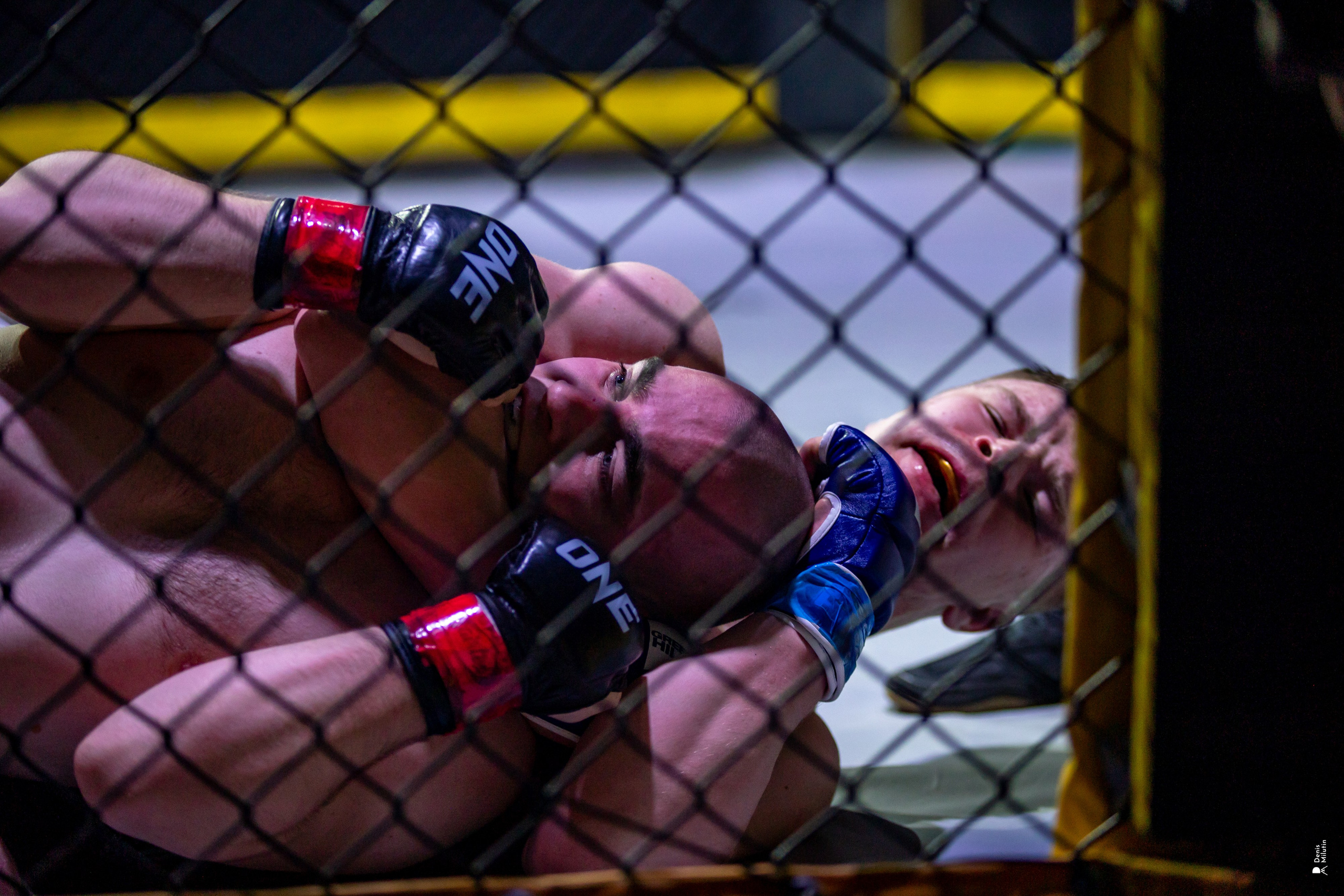 Бои в клетке «Северный Воин». Портретный фотограф Денис Милютин