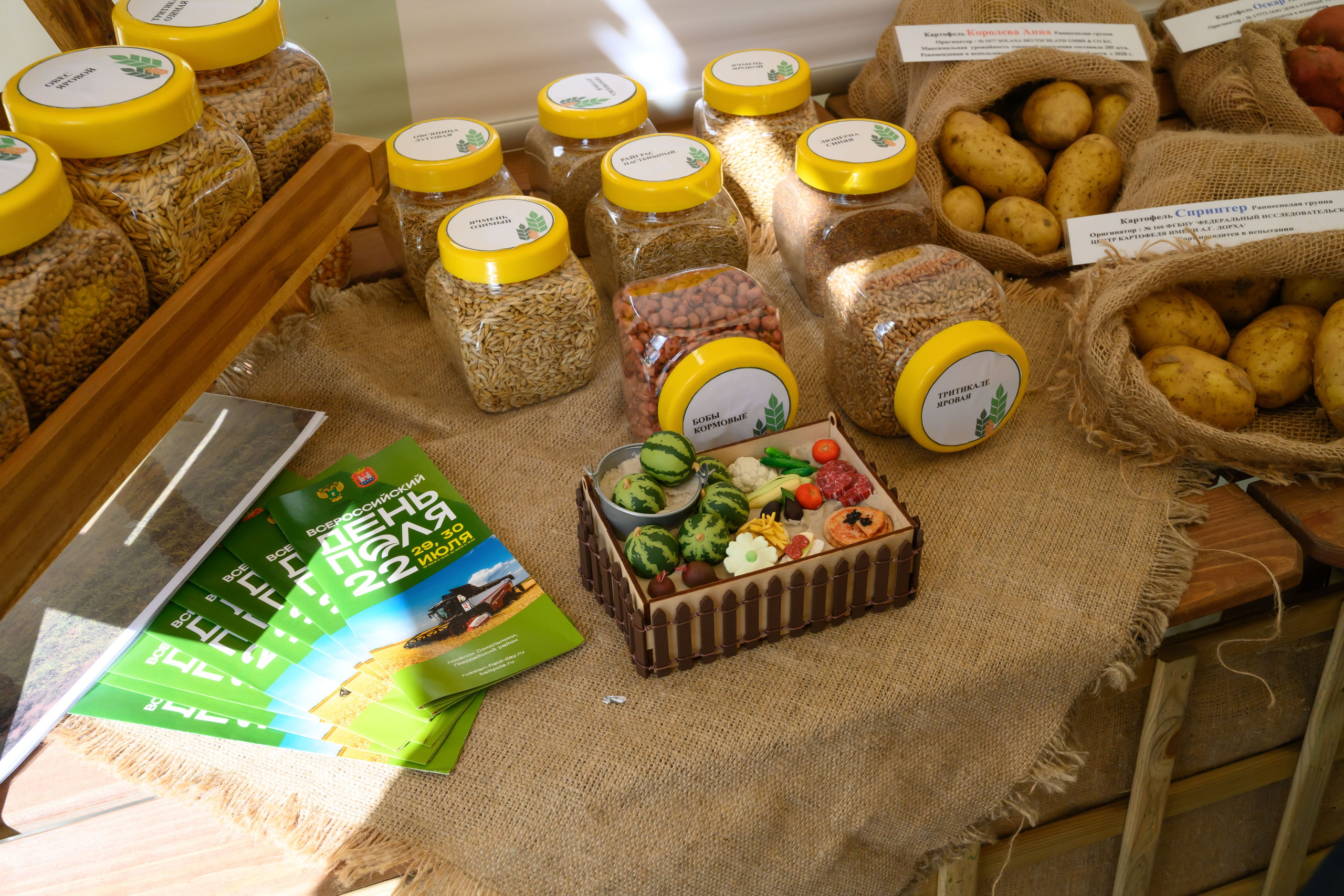 Всероссийский День Поля 2022 (Калининград). Fotolux