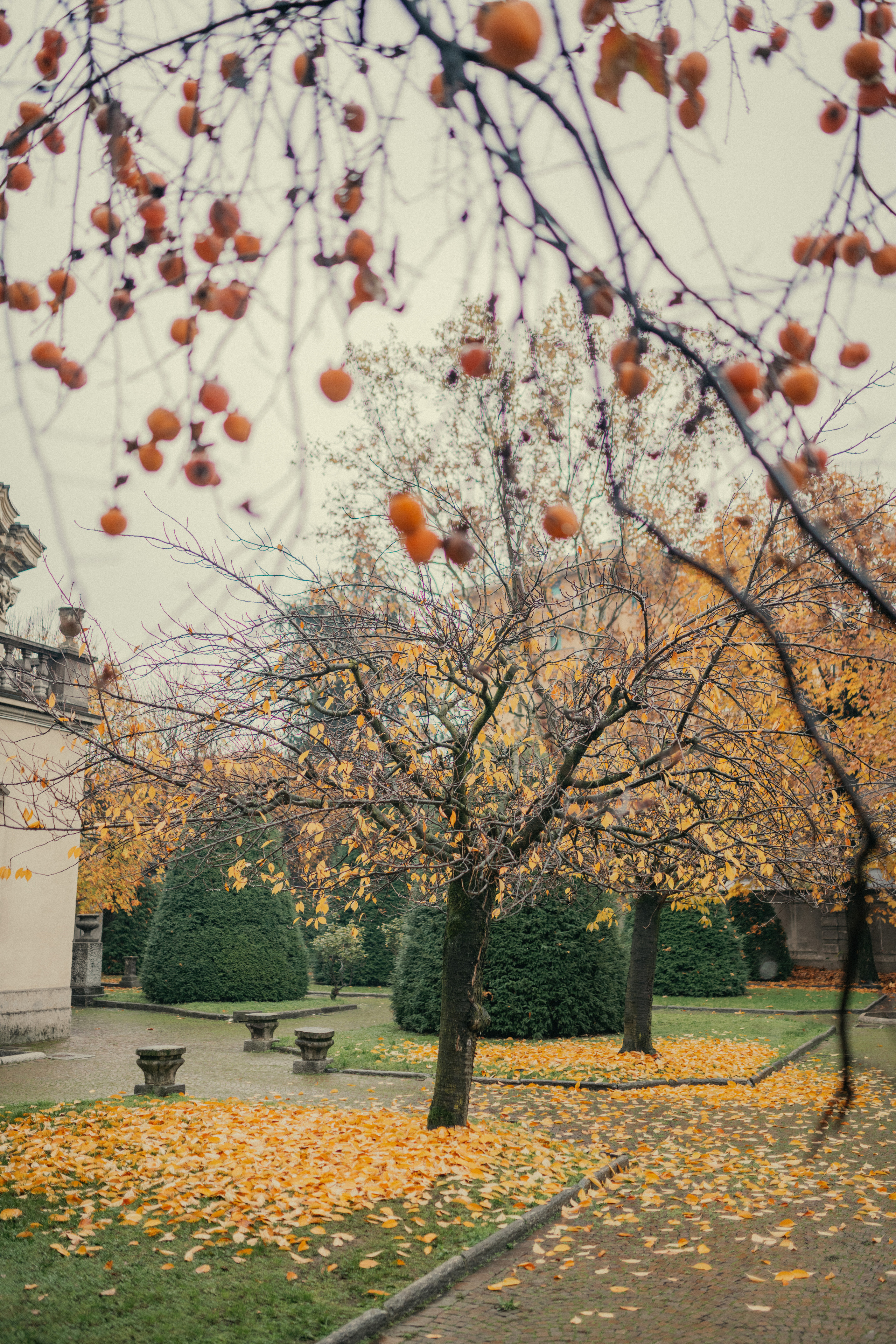 Laura&Mauzo. Photographer Vasilisa Gordeeva
