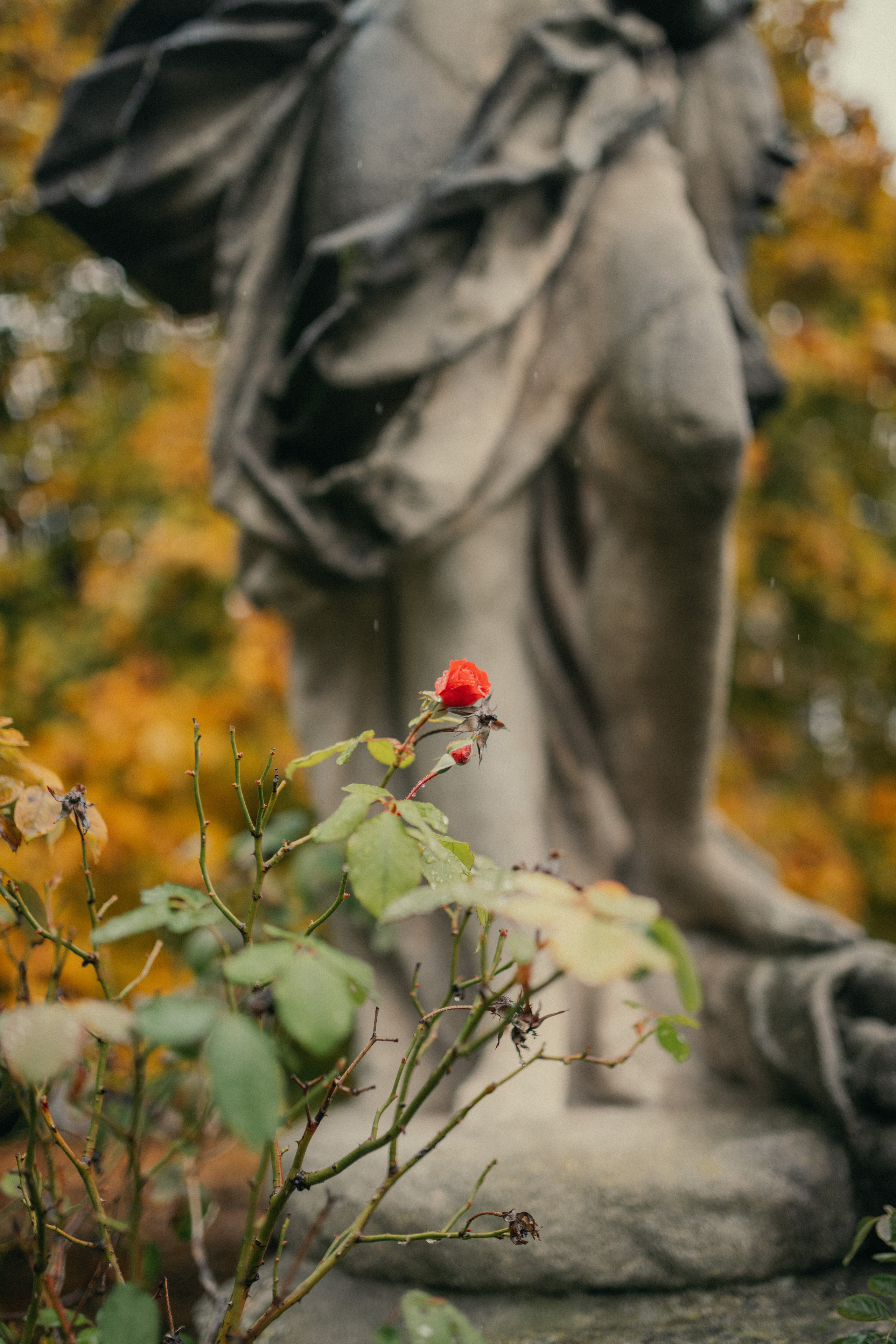 Laura&Mauzo. Photographer Vasilisa Gordeeva