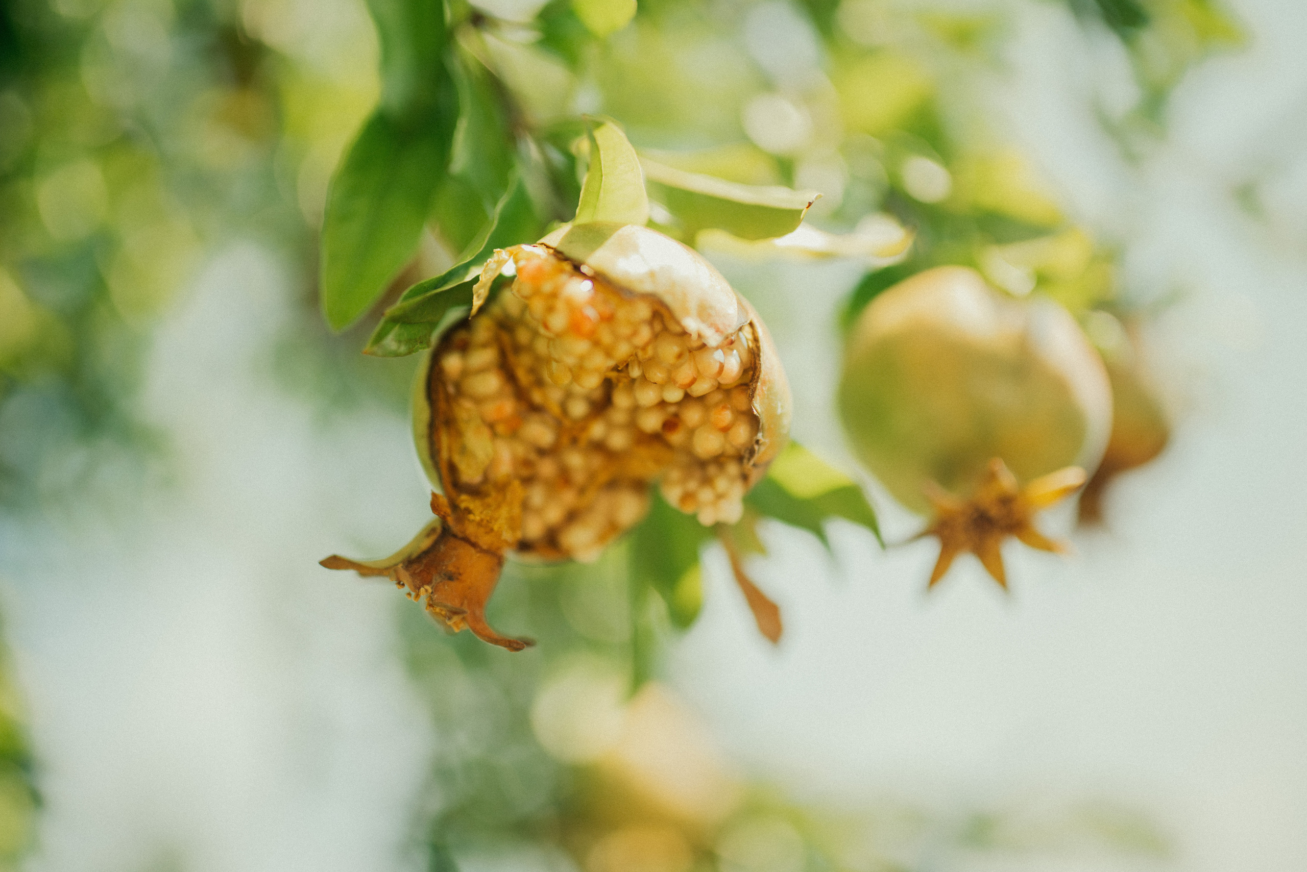 Lombardia Love story. Фотограф Василиса Гордеева