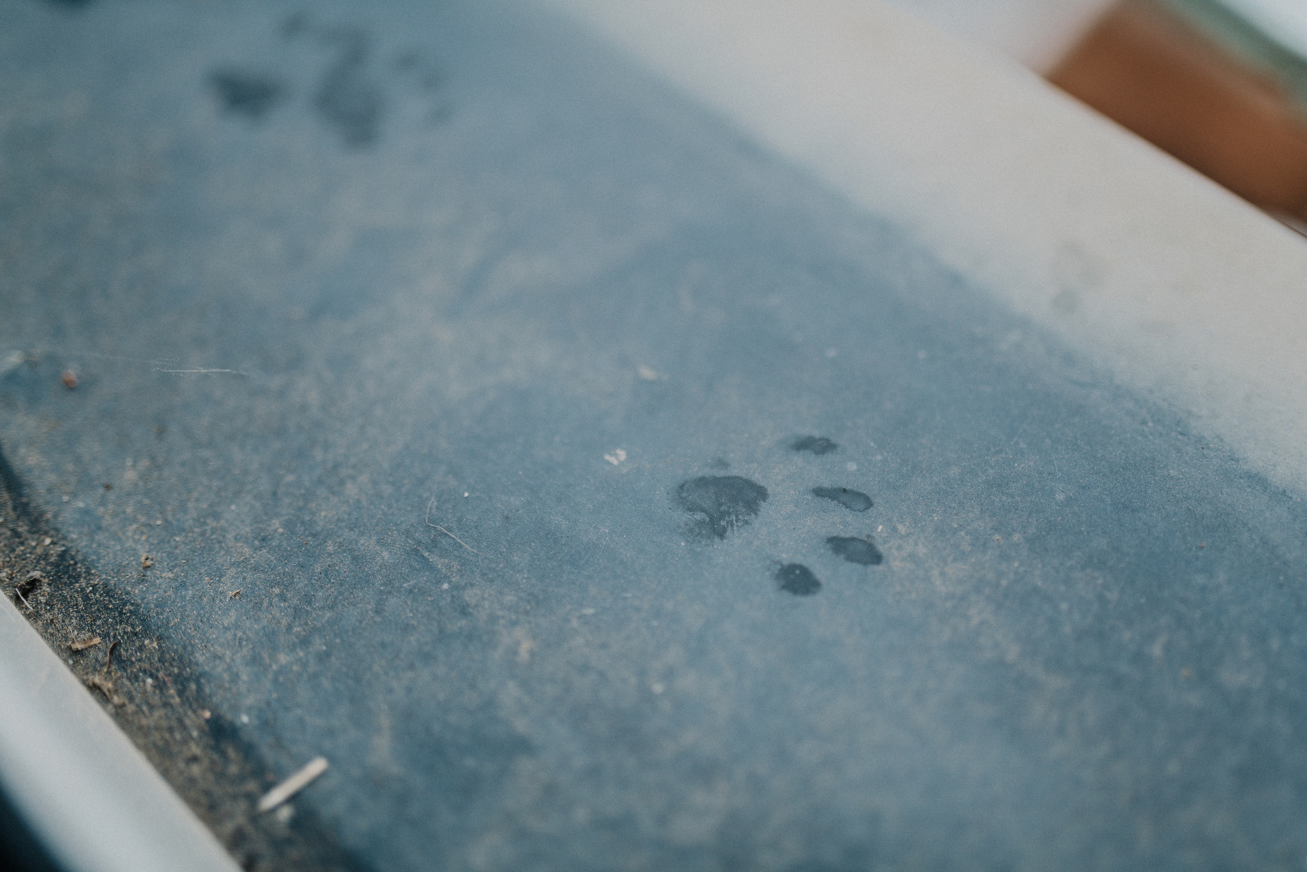 One day with Lena in Genova. Photographer Vasilisa Gordeeva