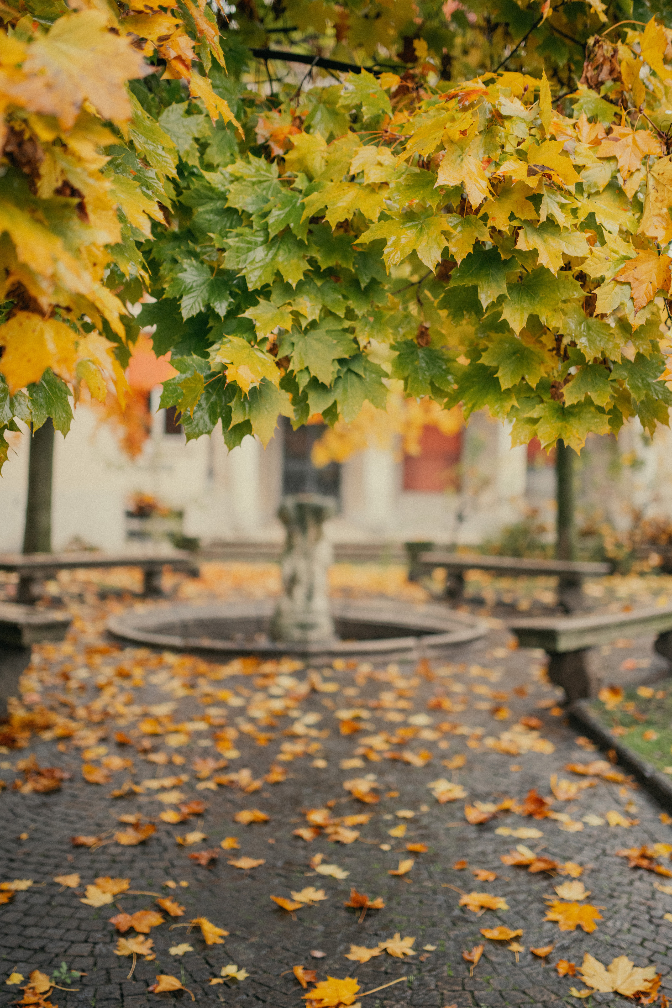 Laura&Mauzo. Photographer Vasilisa Gordeeva