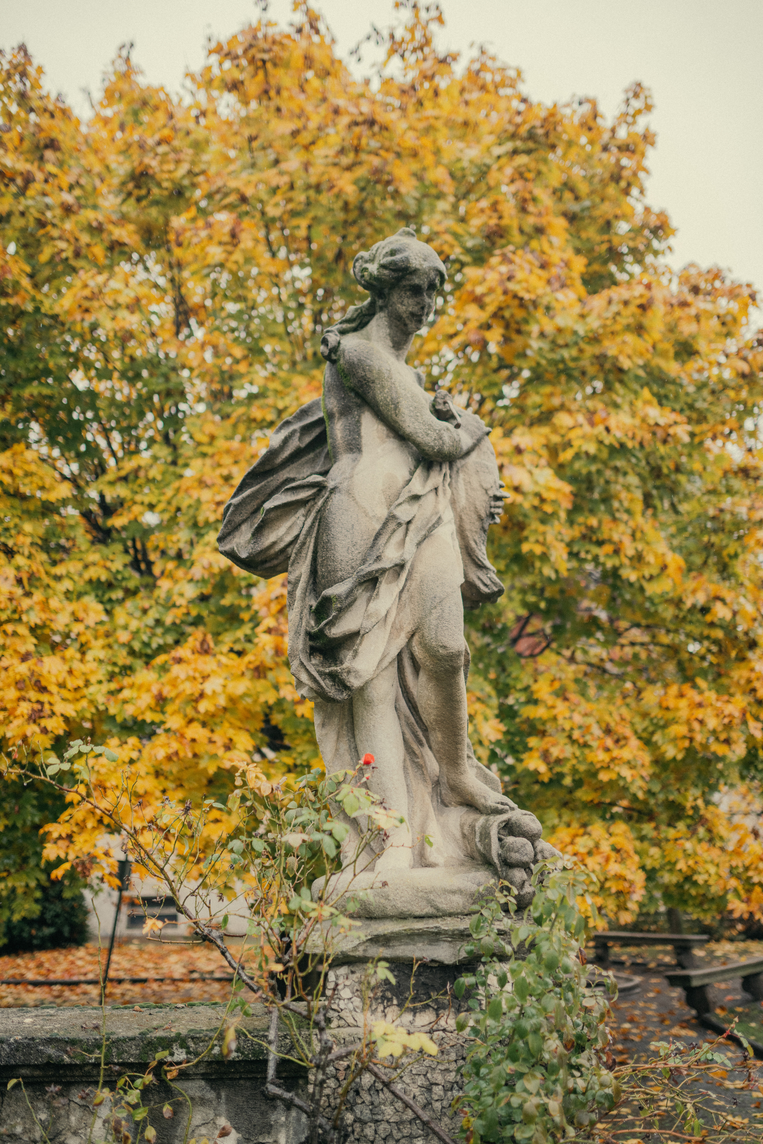 Laura&Mauzo. Photographer Vasilisa Gordeeva