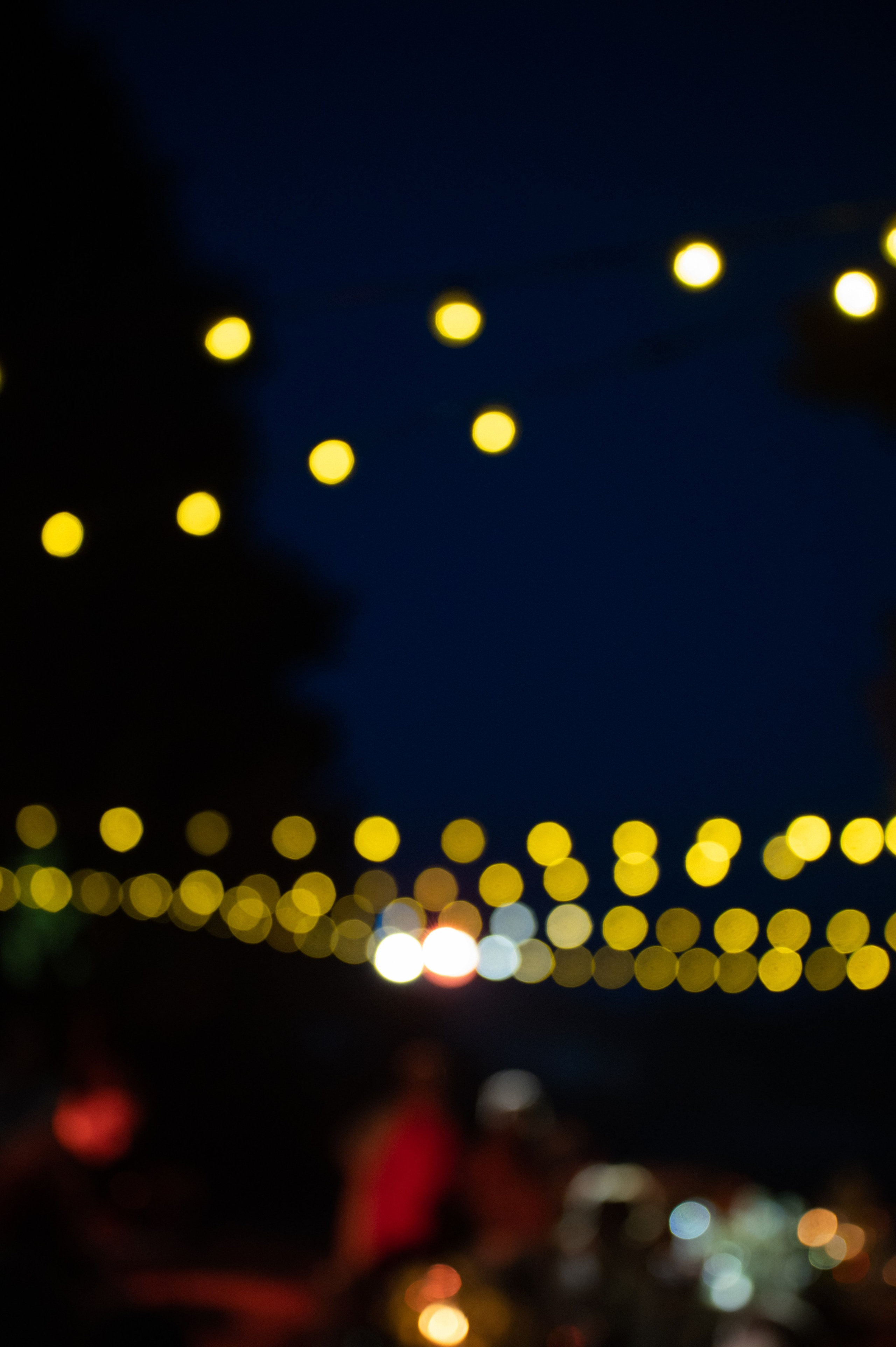 12.06.25. Свадебный, женский, семейный фотограф в Севастополе Юлия Мошенко