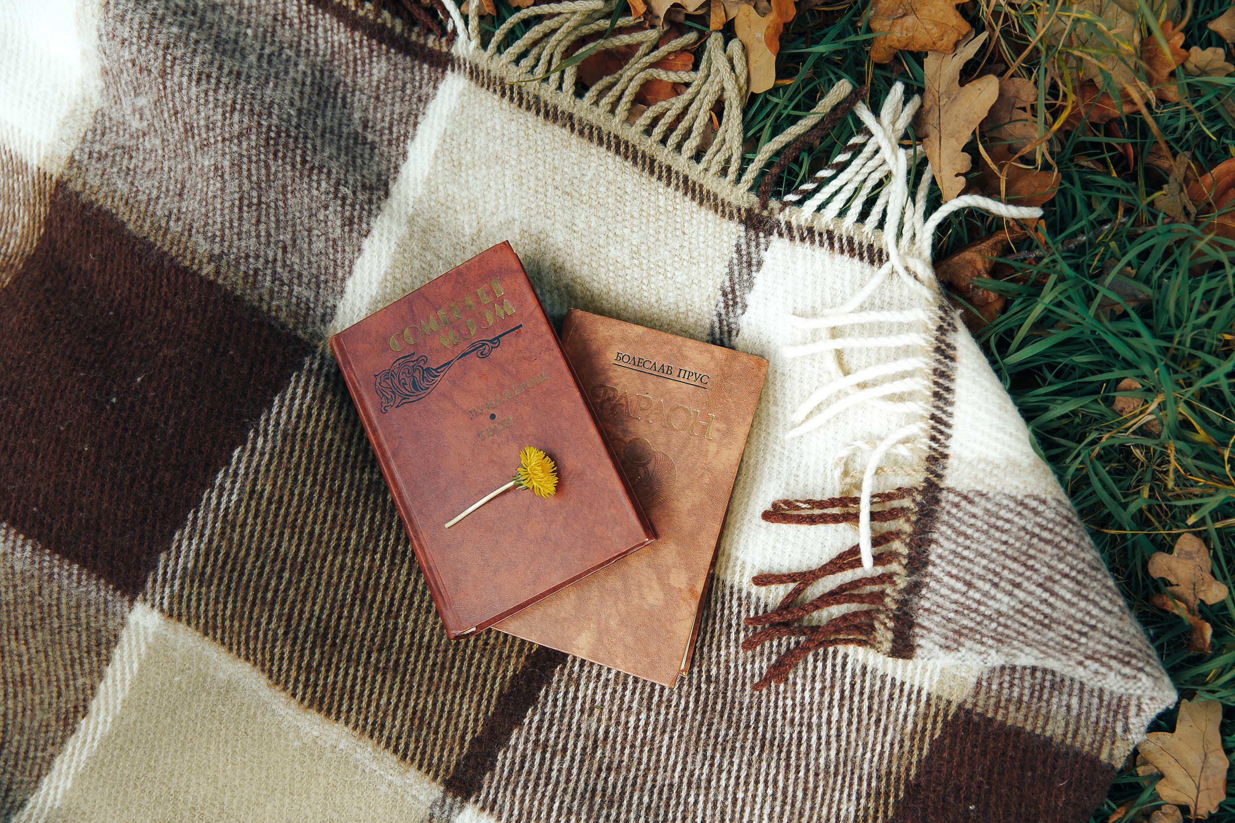 Осенняя история для Ирины и Алексея (Love Story)