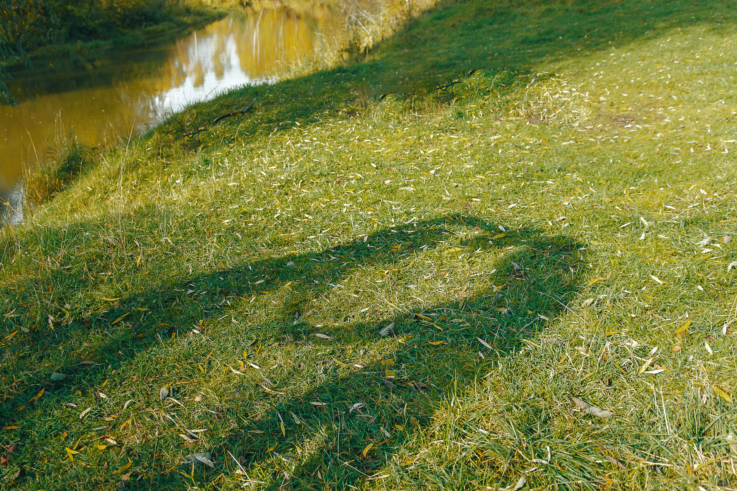 Осенняя история для Ирины и Алексея (Love Story)