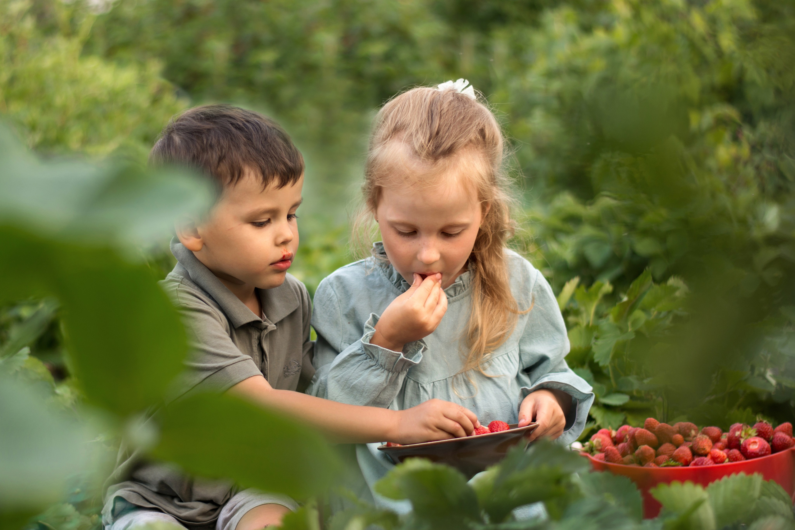 Детская летняя фотосессия в Сыктывкаре детский фотограф лето Сыктывкар. Фотограф новорождённых детский фотограф Сыктывкар Наталья Линдт
