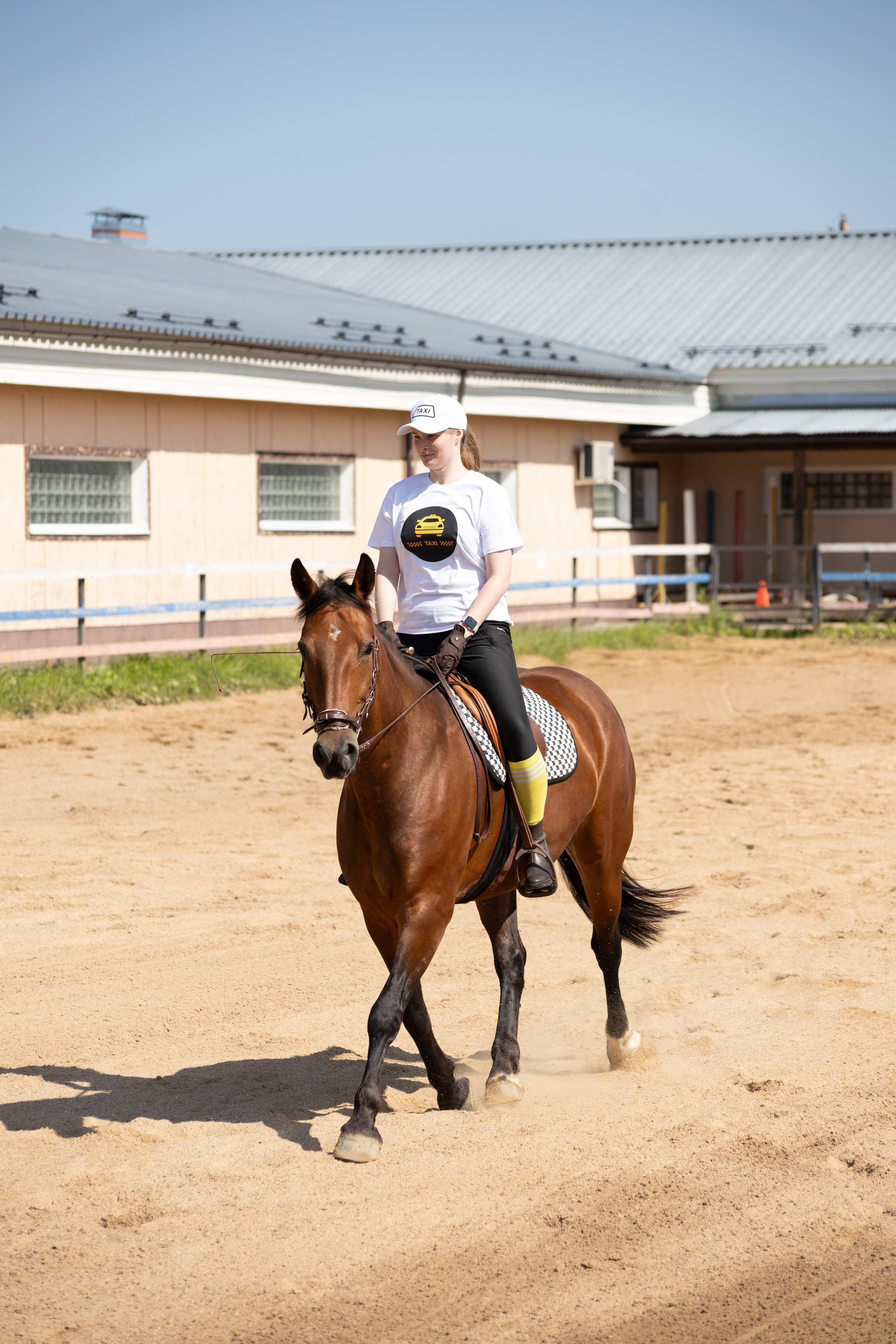 Конюшня. Фотограф в Москве и Истре