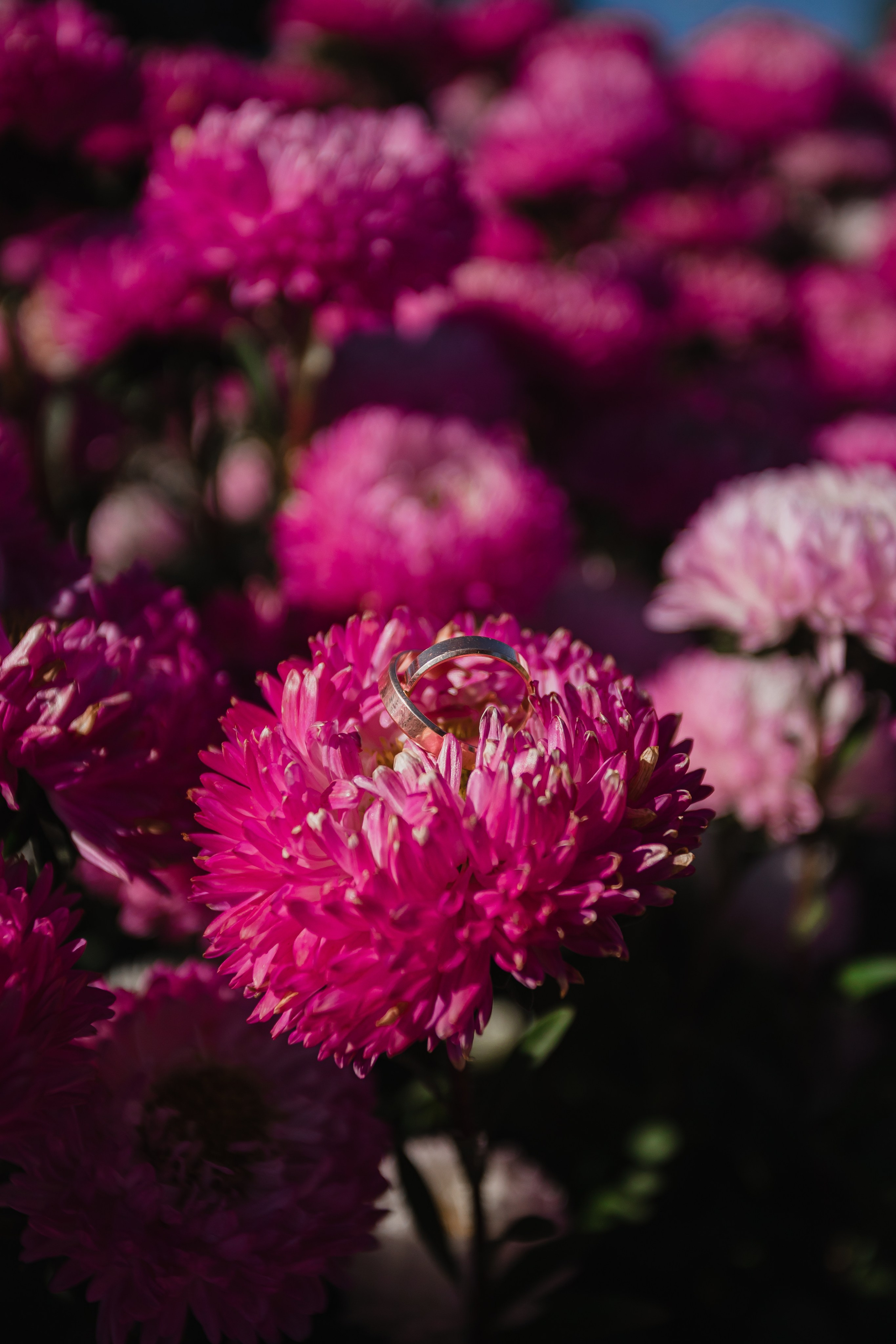 Денис & Наталья. Фотограф в Ставрополе Евгений Наглянцев