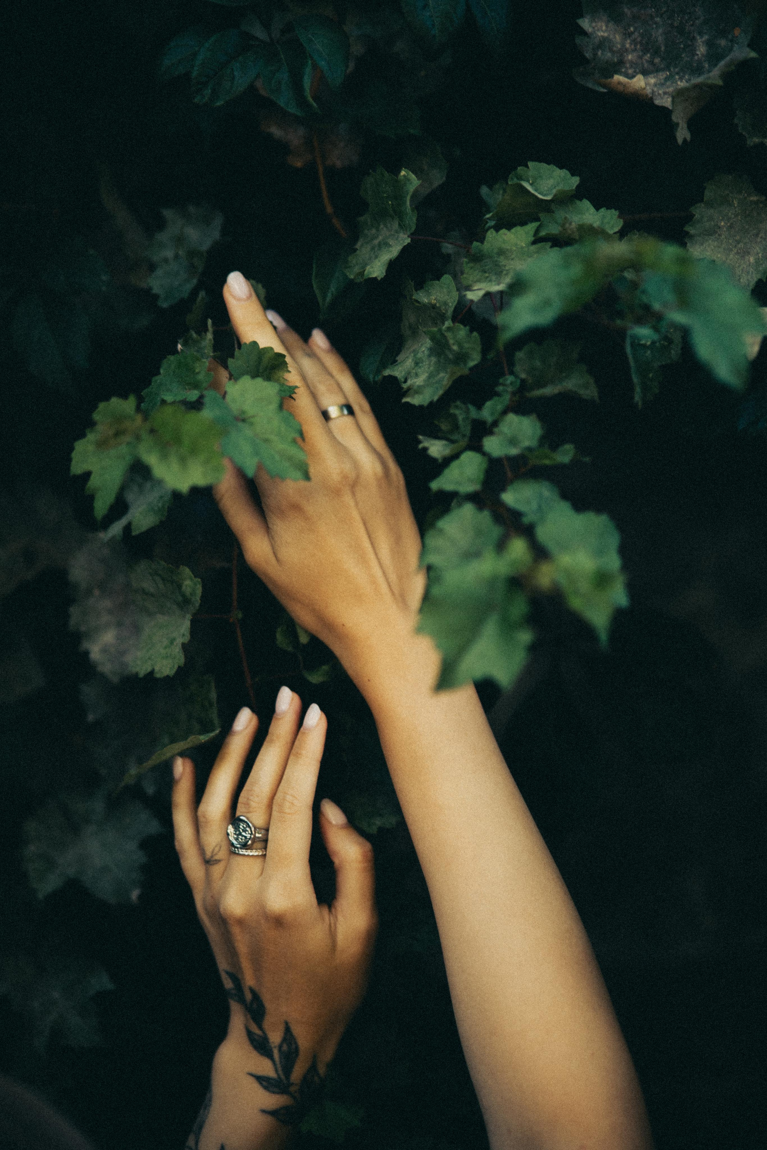 Инна. Даша Царёва, фотограф